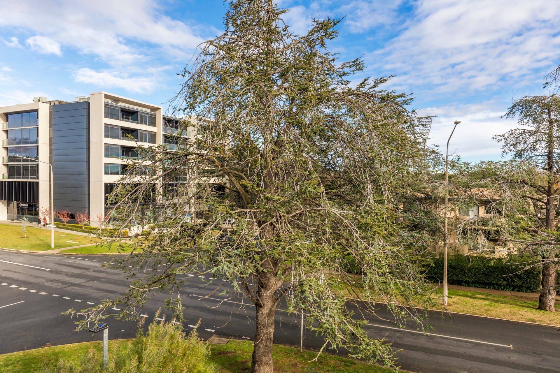 5/8 Giles Street, Griffith ACT 2603, Griffith - Thumbnail 4