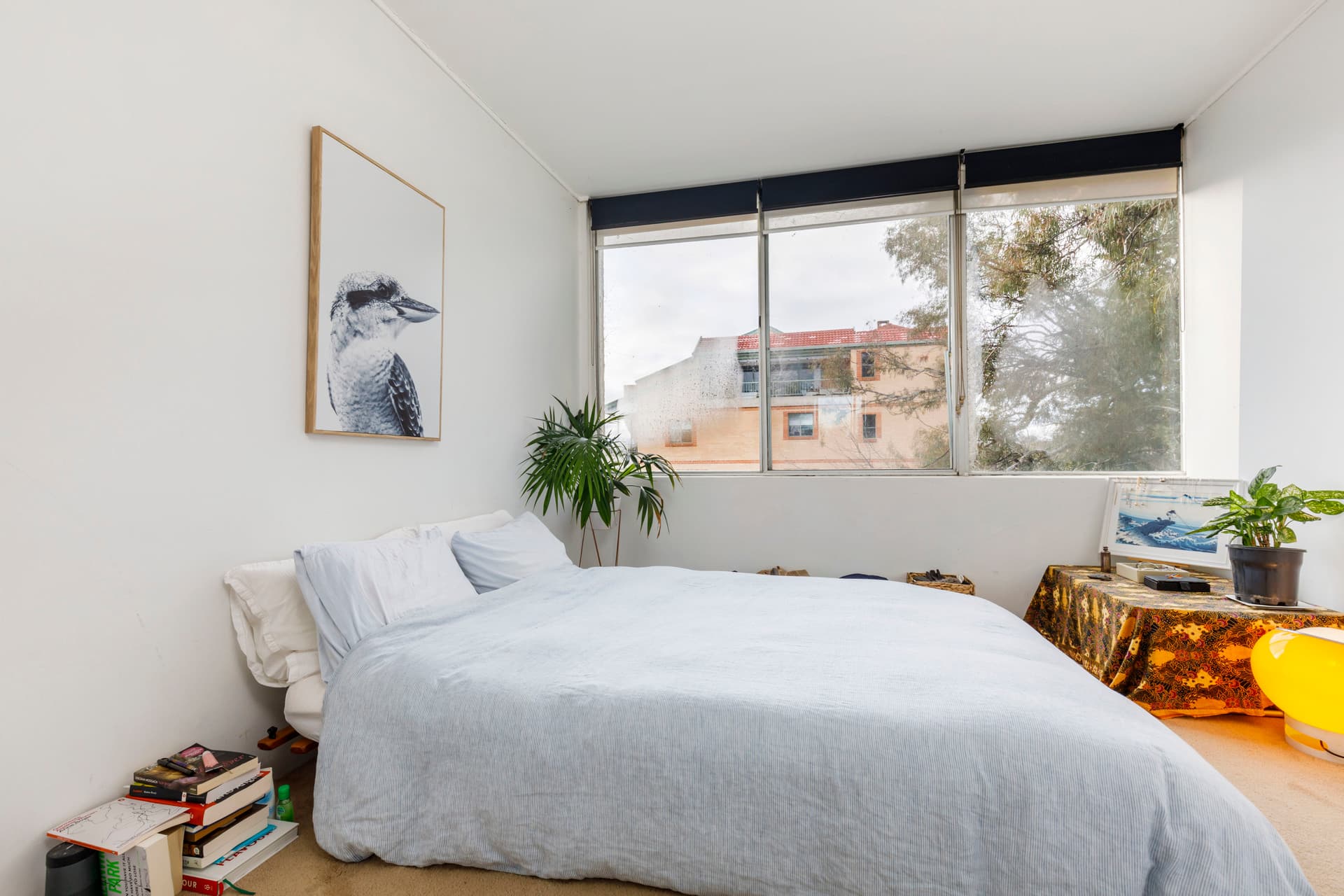 5/8 Giles Street, Griffith ACT 2603, Griffith - Image 1