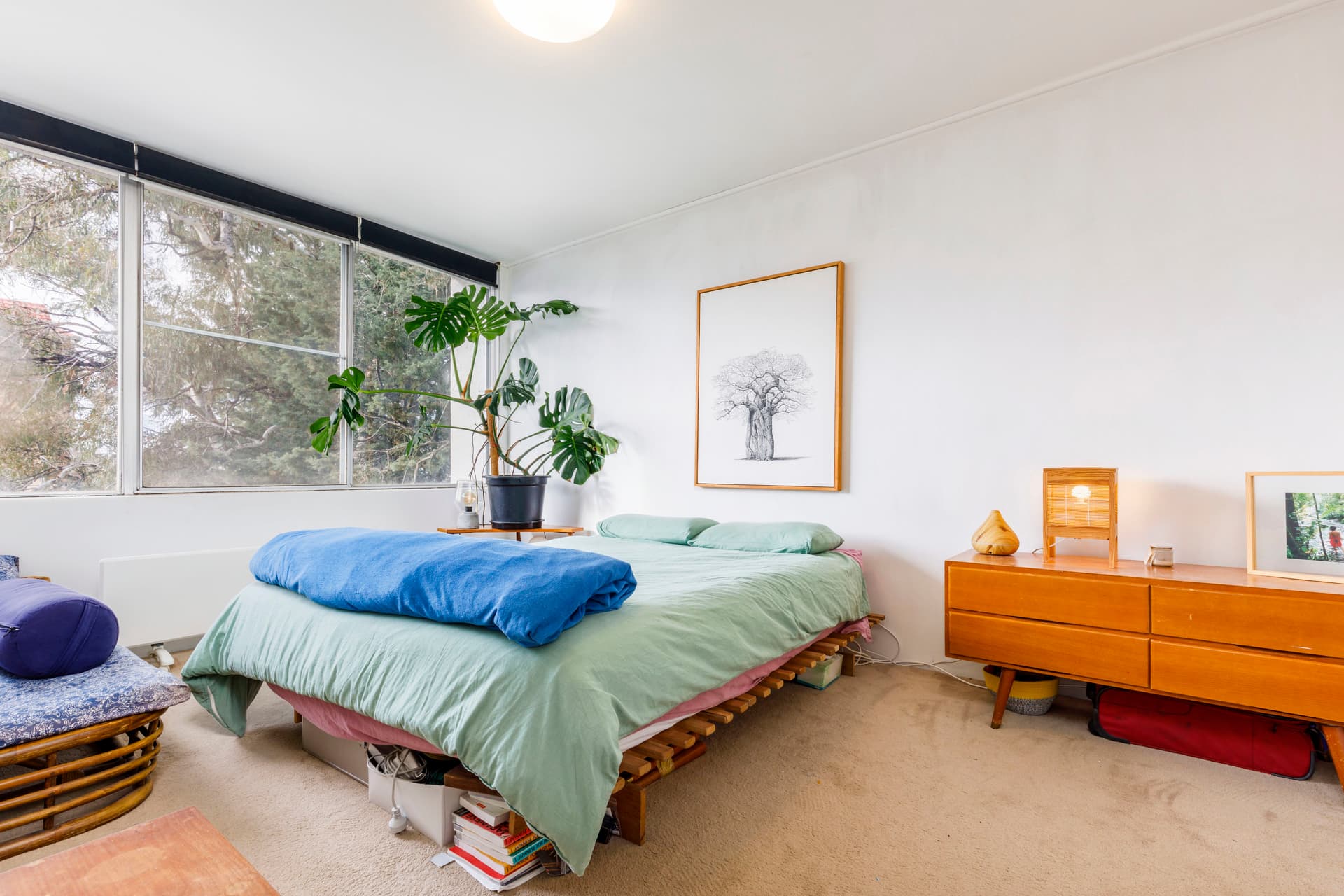 5/8 Giles Street, Griffith ACT 2603, Griffith - Thumbnail 2