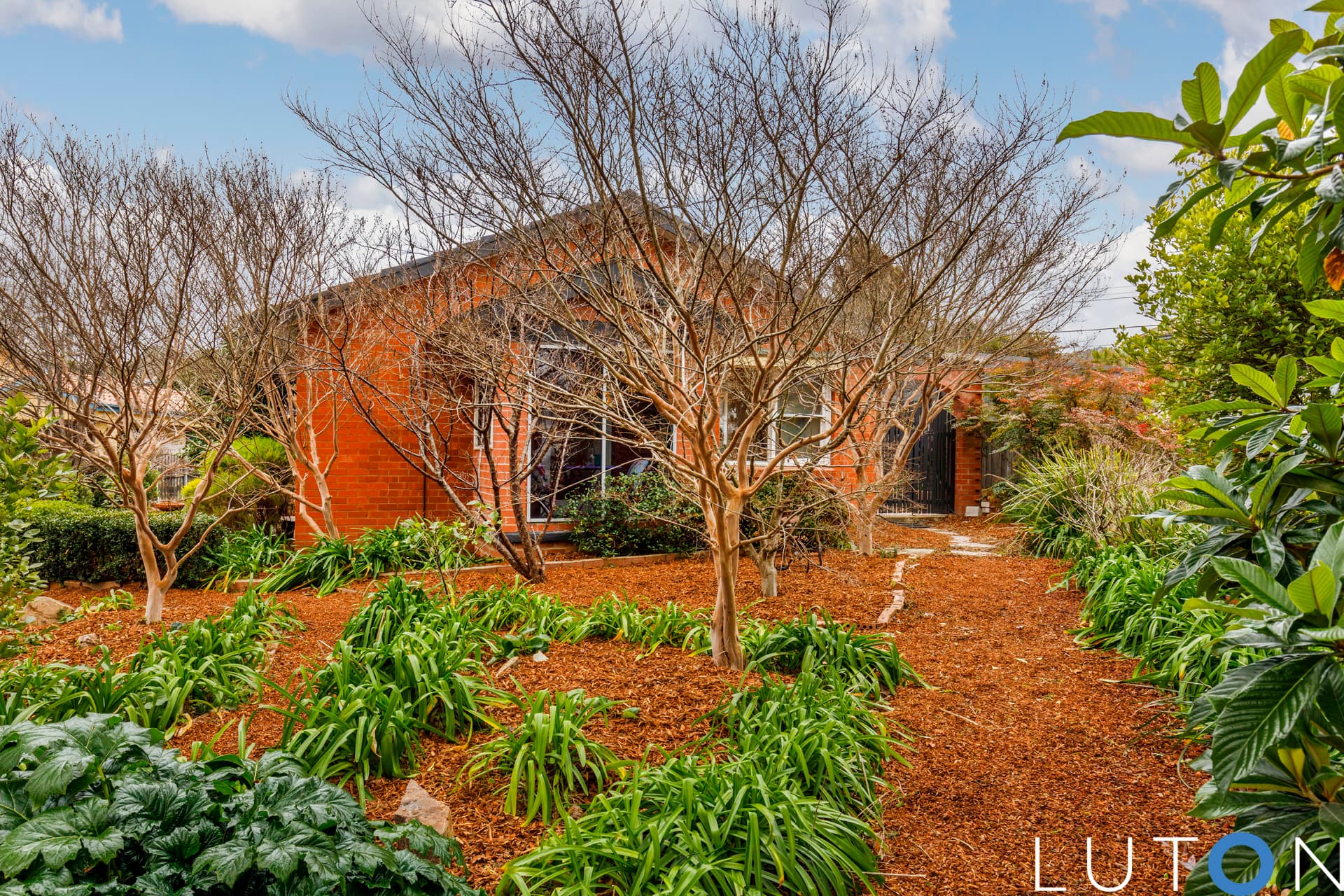 7 Collier Street, Curtin ACT 2605, Curtin - Thumbnail 8