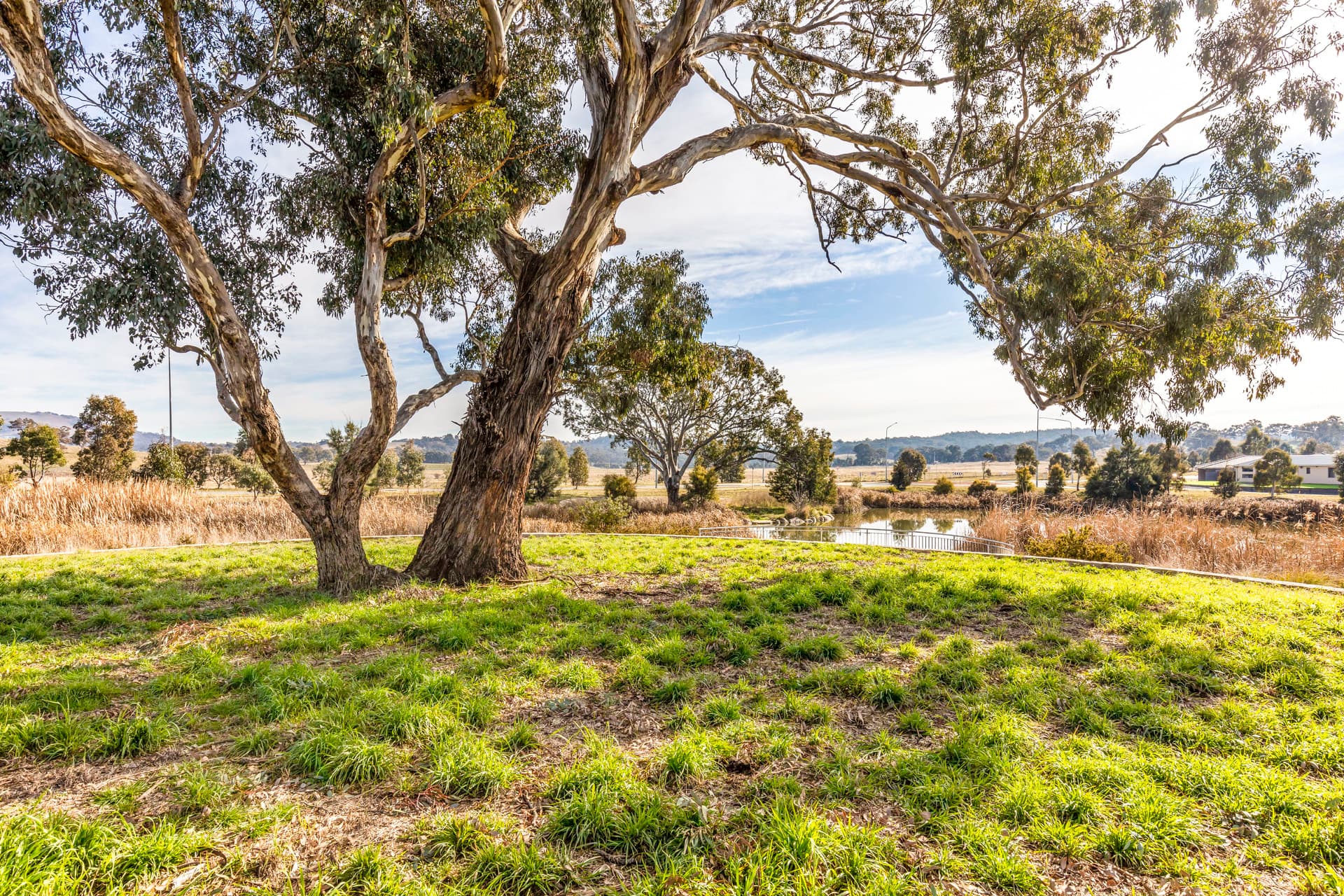 50 Irinyili Street, Bonner ACT 2914, Bonner - Thumbnail 7