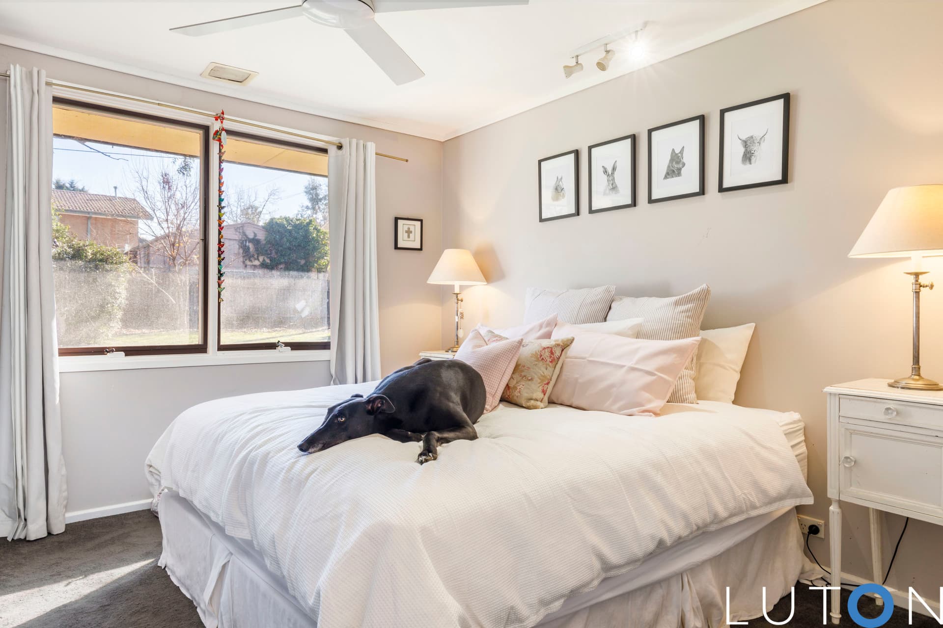 33 Mirrool Street, Duffy ACT 2611, Duffy - Image 1