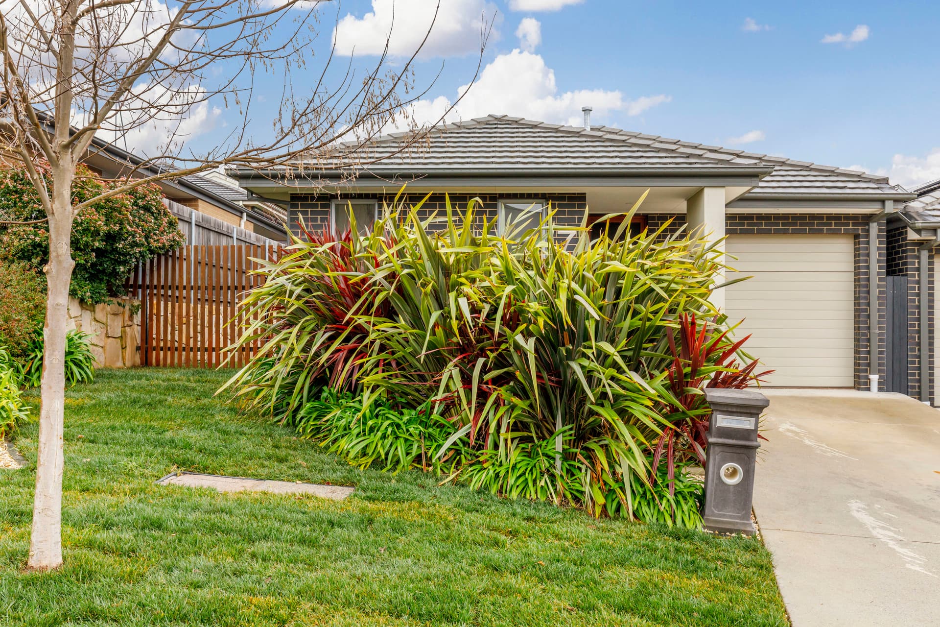 7 Quealy Street, Casey ACT 2913, Casey - Thumbnail 7