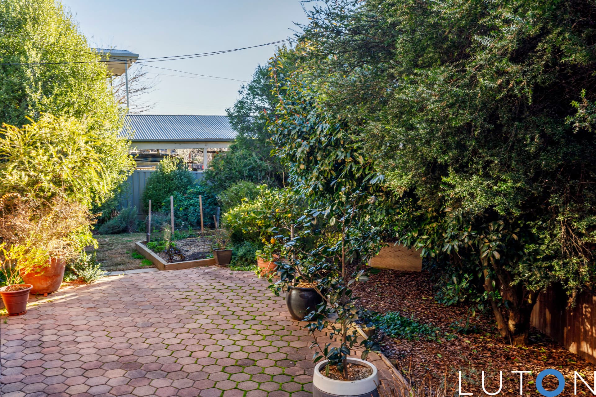 6 Lamble Place, Oxley ACT 2903, Oxley - Thumbnail 6