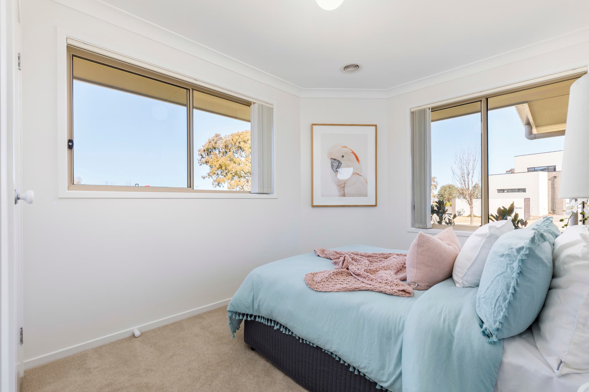 1 Rangiari Street, Bonner ACT 2914, Bonner - Thumbnail 6