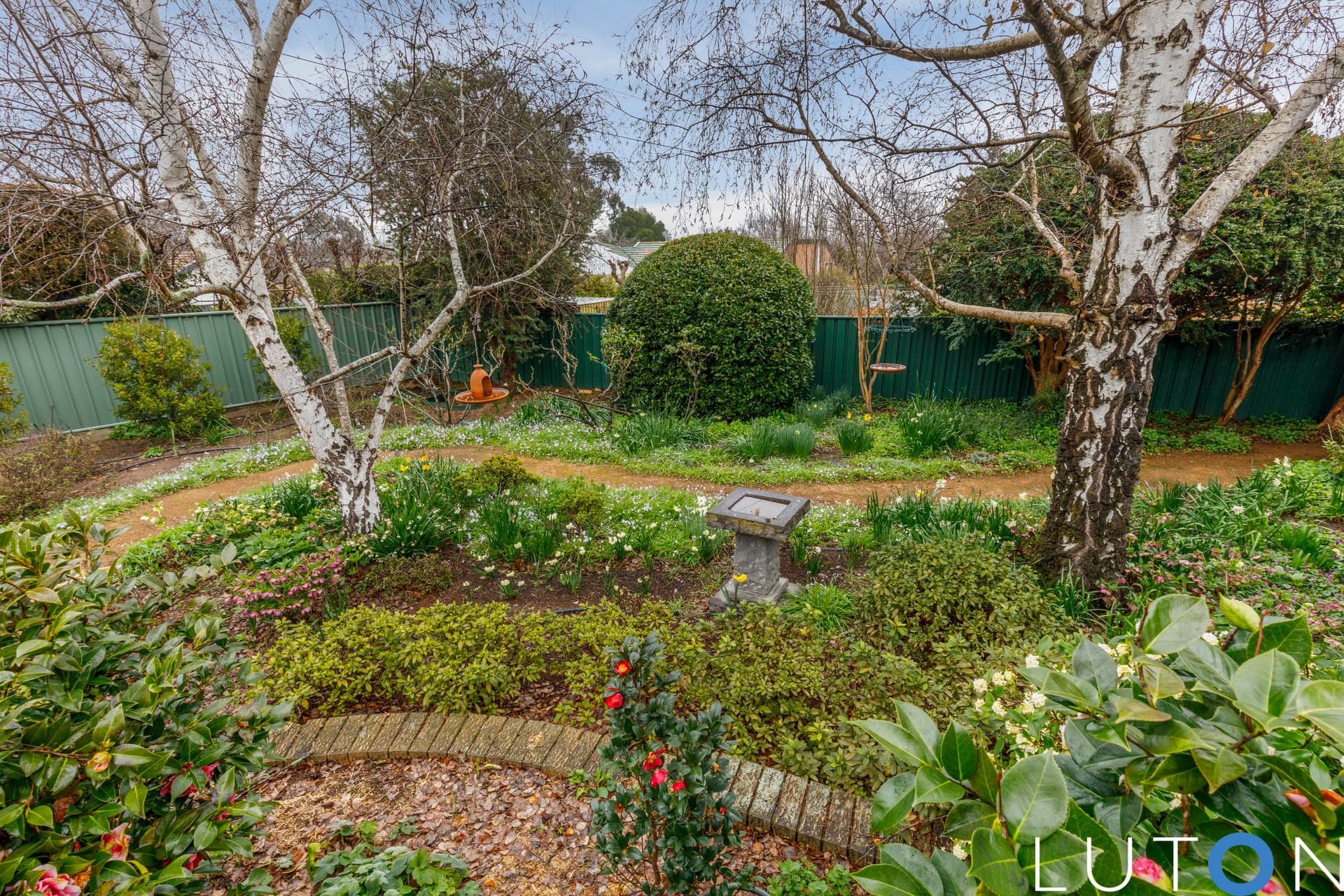 12 Buvelot Street, Weston ACT 2611, Weston - Thumbnail 8