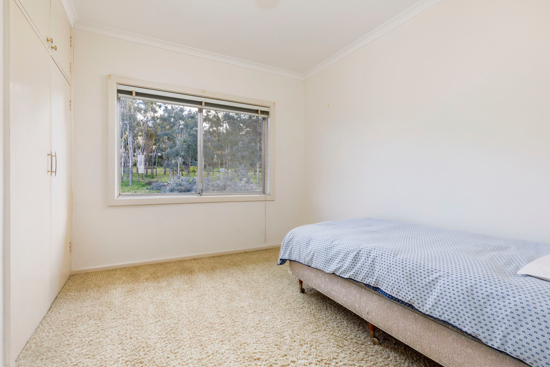 7 Anstey Street, Pearce ACT 2607, Pearce - Image 1