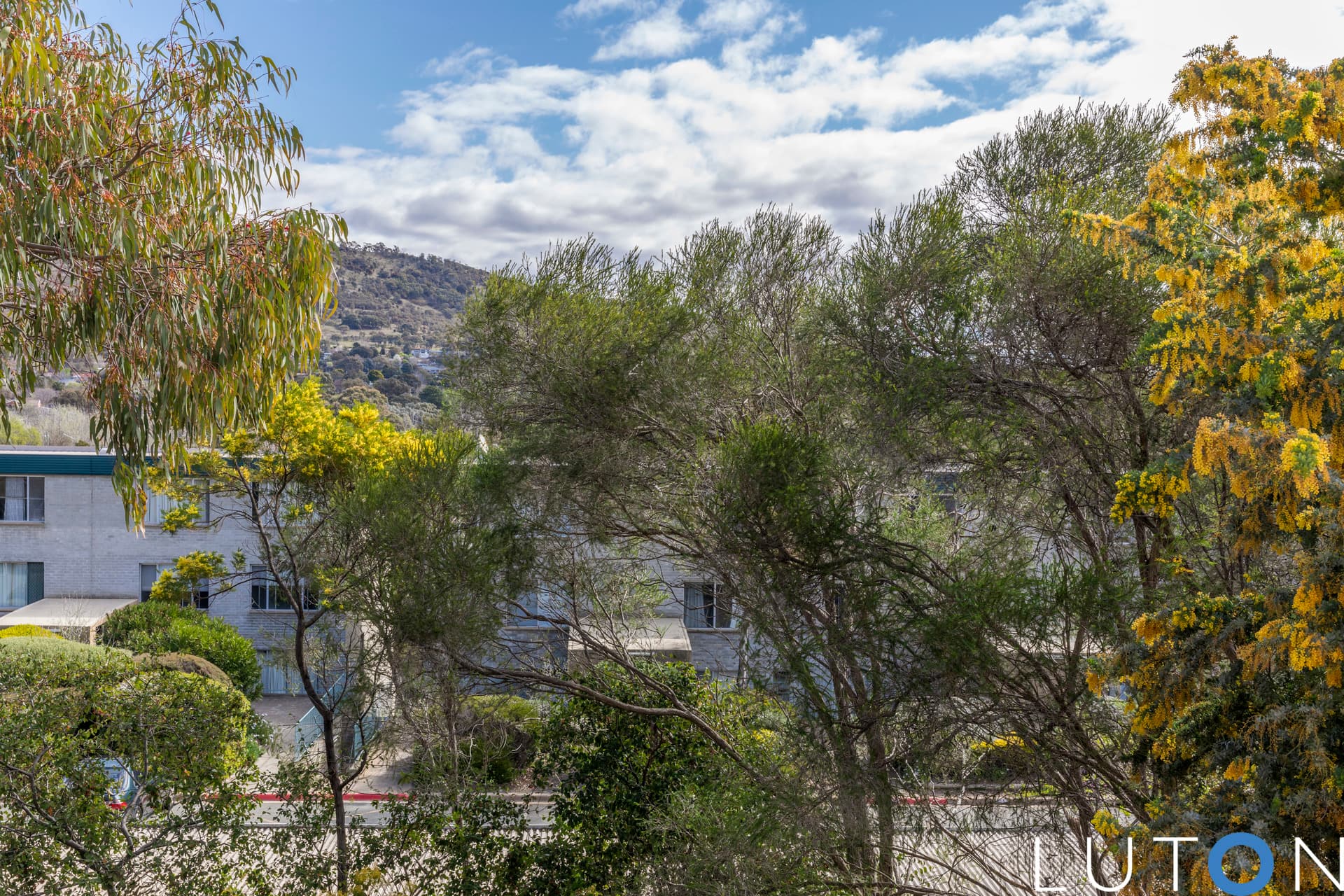 21/10 Wilkins Street, Mawson ACT 2607, Mawson - Thumbnail 5