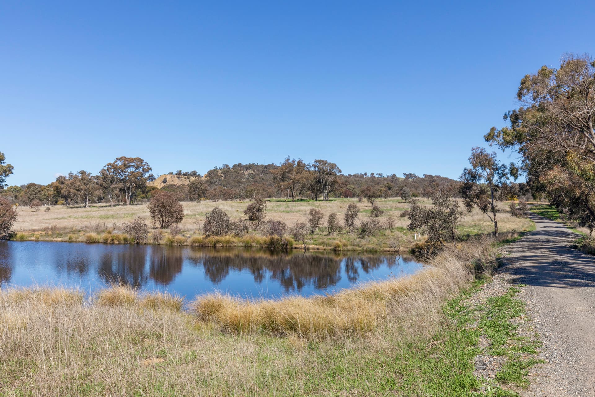 130 McKeahnie Lane, Sutton NSW 2620, Sutton - Thumbnail 3