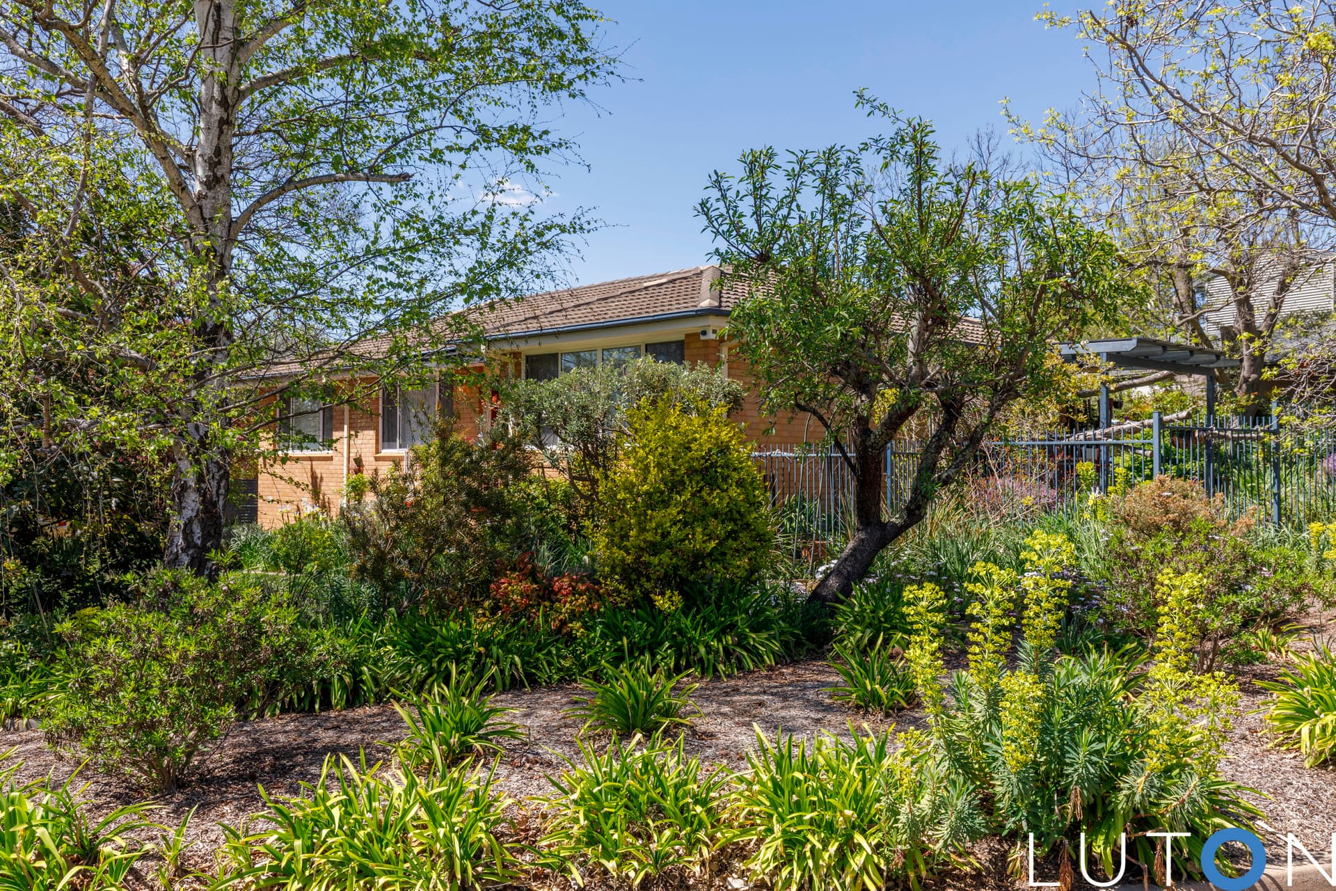 17 Duncan Street, Torrens ACT 2607, Torrens - Thumbnail 8