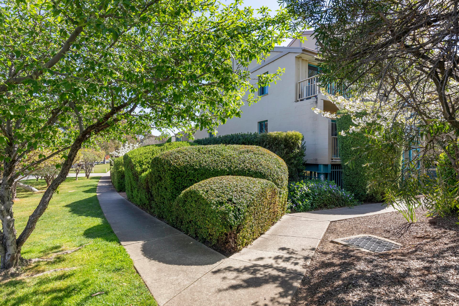 16/53 McMillan Crescent, Griffith ACT 2603, Griffith - Thumbnail 6