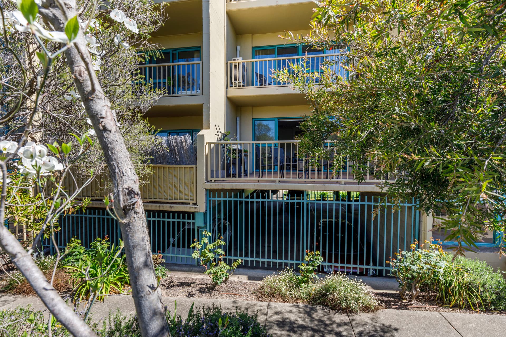 16/53 McMillan Crescent, Griffith ACT 2603, Griffith - Thumbnail 8
