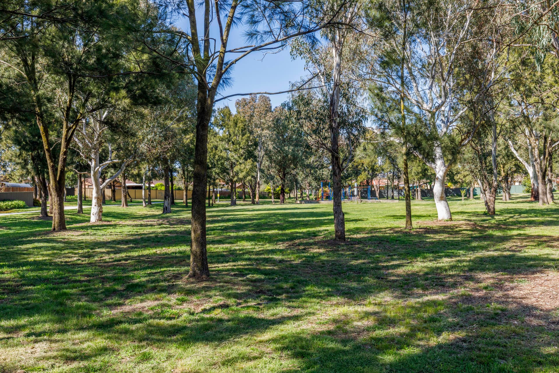 8 McCarthy Place, Charnwood ACT 2615, Charnwood - Thumbnail 8