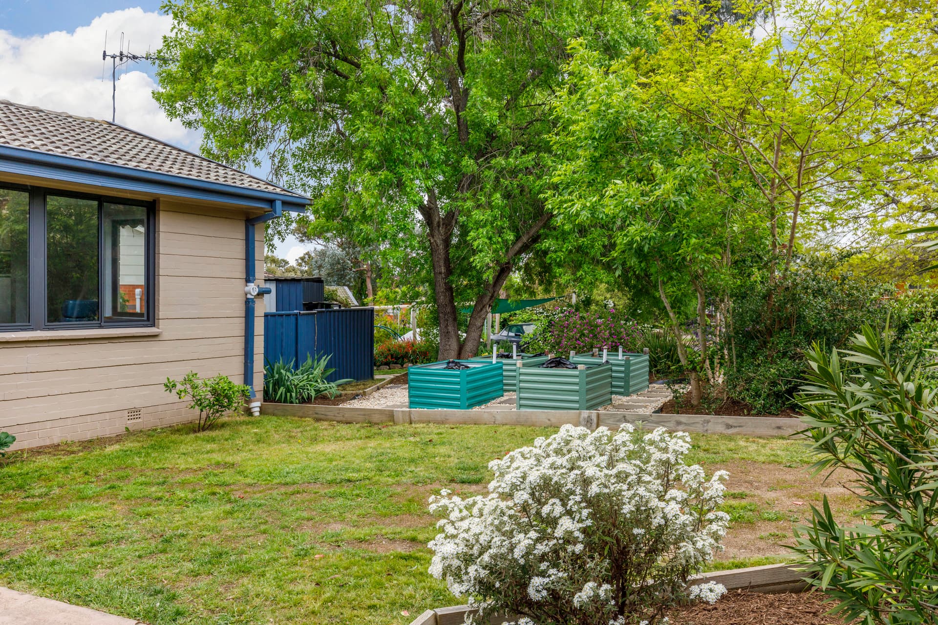 1 Petre Street, Scullin ACT 2614, Scullin - Thumbnail 4