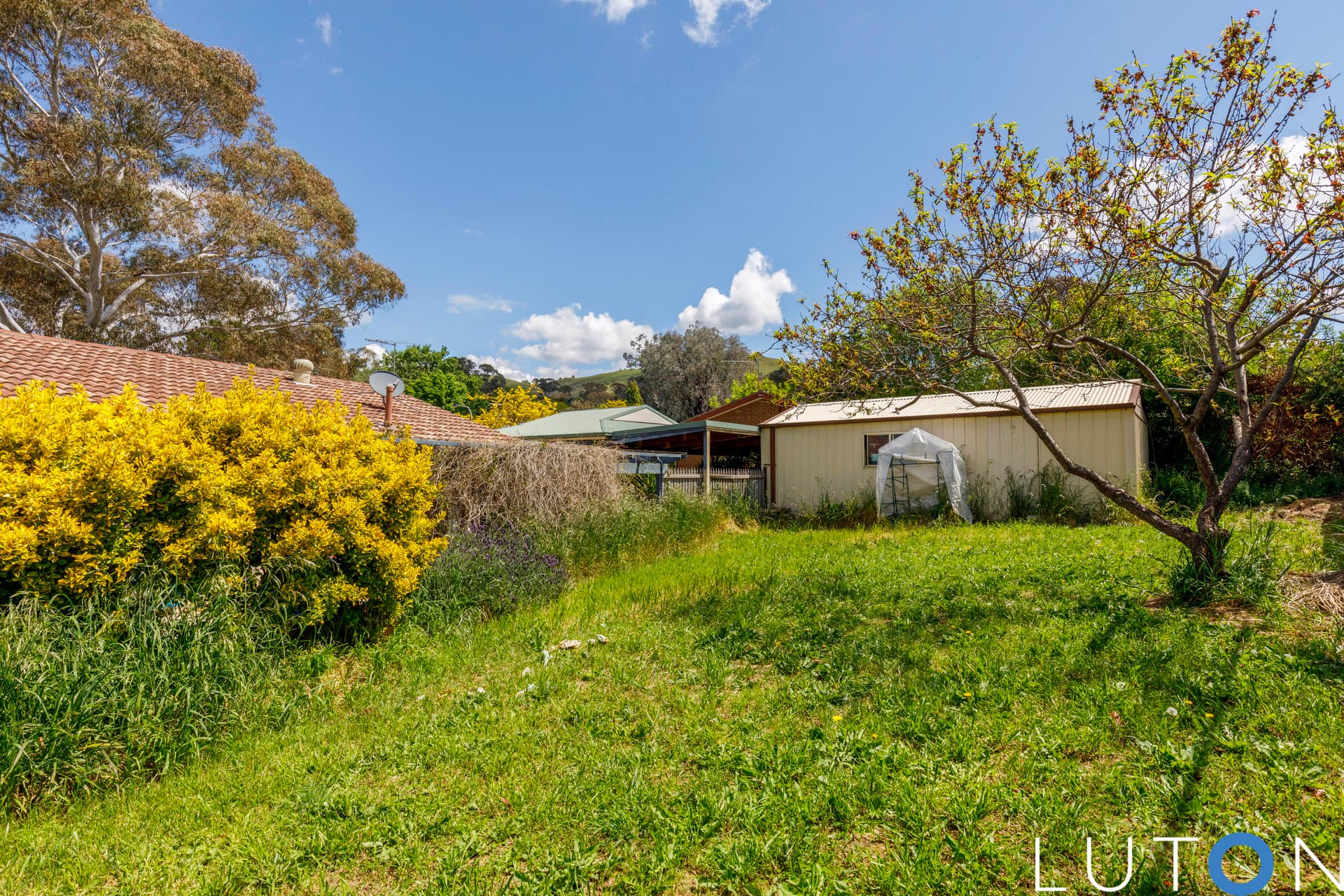 32 Ragless Circuit, Kambah ACT 2902, Kambah - Thumbnail 5