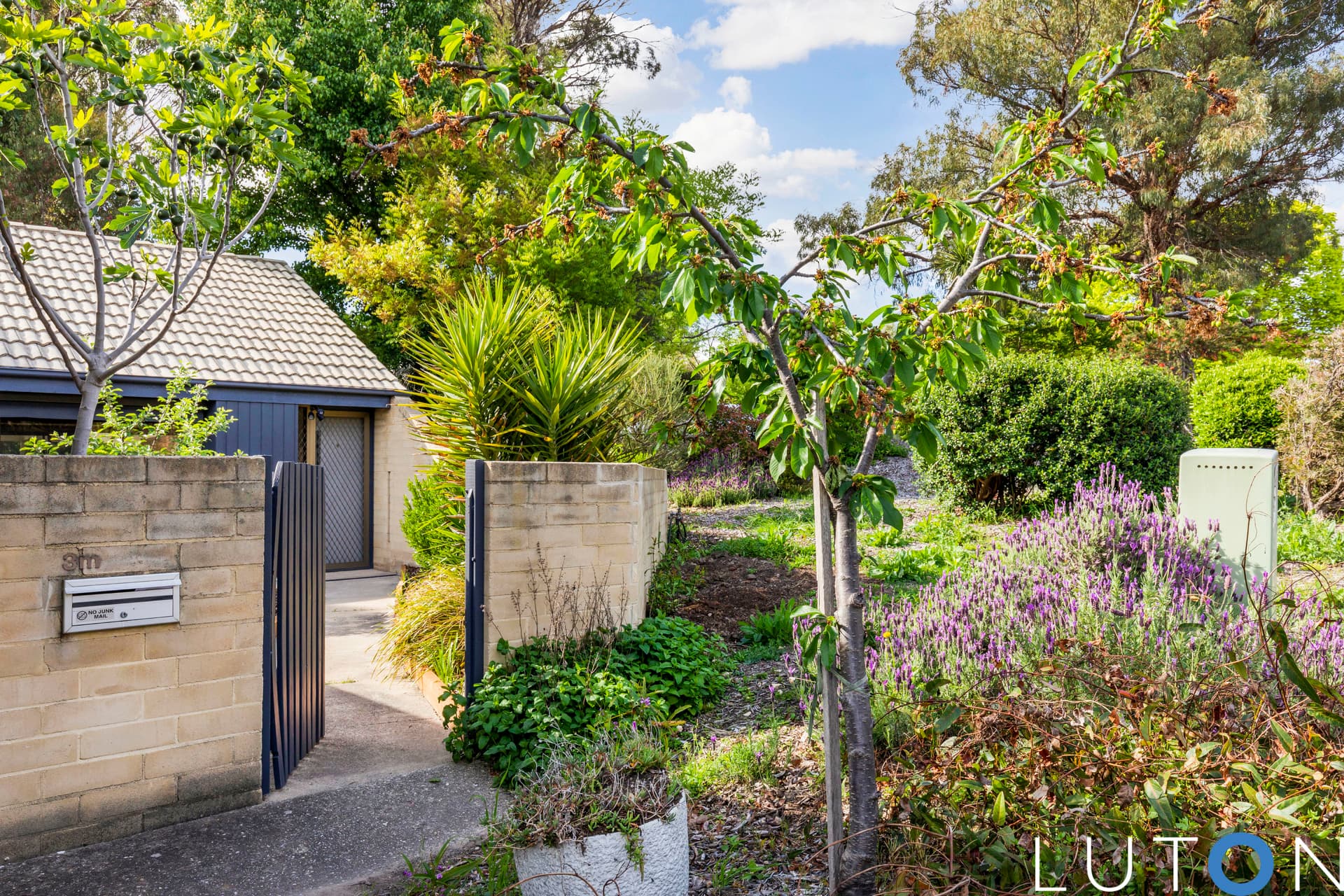 3M Tristania Street, Rivett ACT 2611, Rivett - Thumbnail 8
