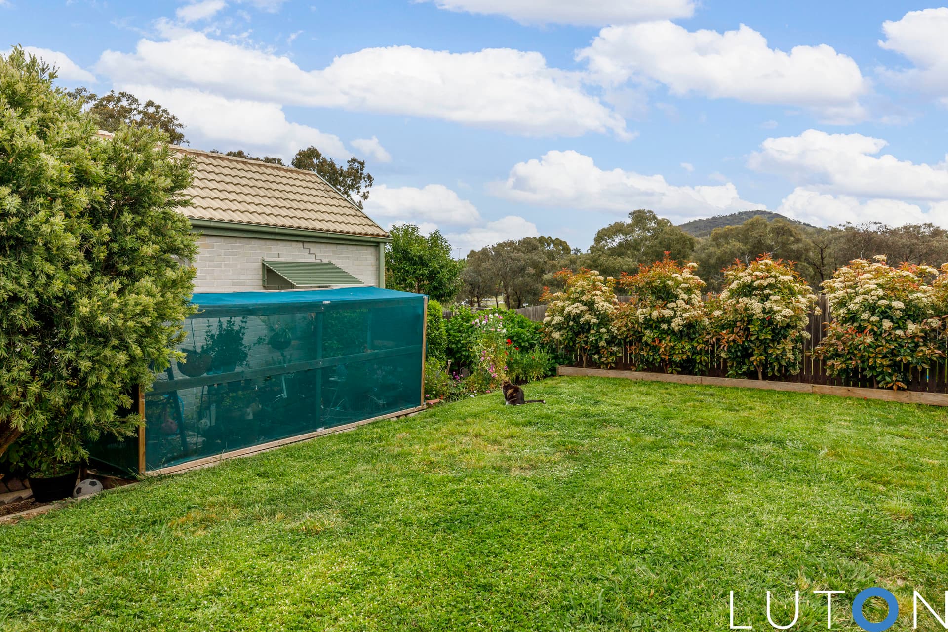 62 Carr Crescent, Wanniassa ACT 2903, Wanniassa - Thumbnail 6