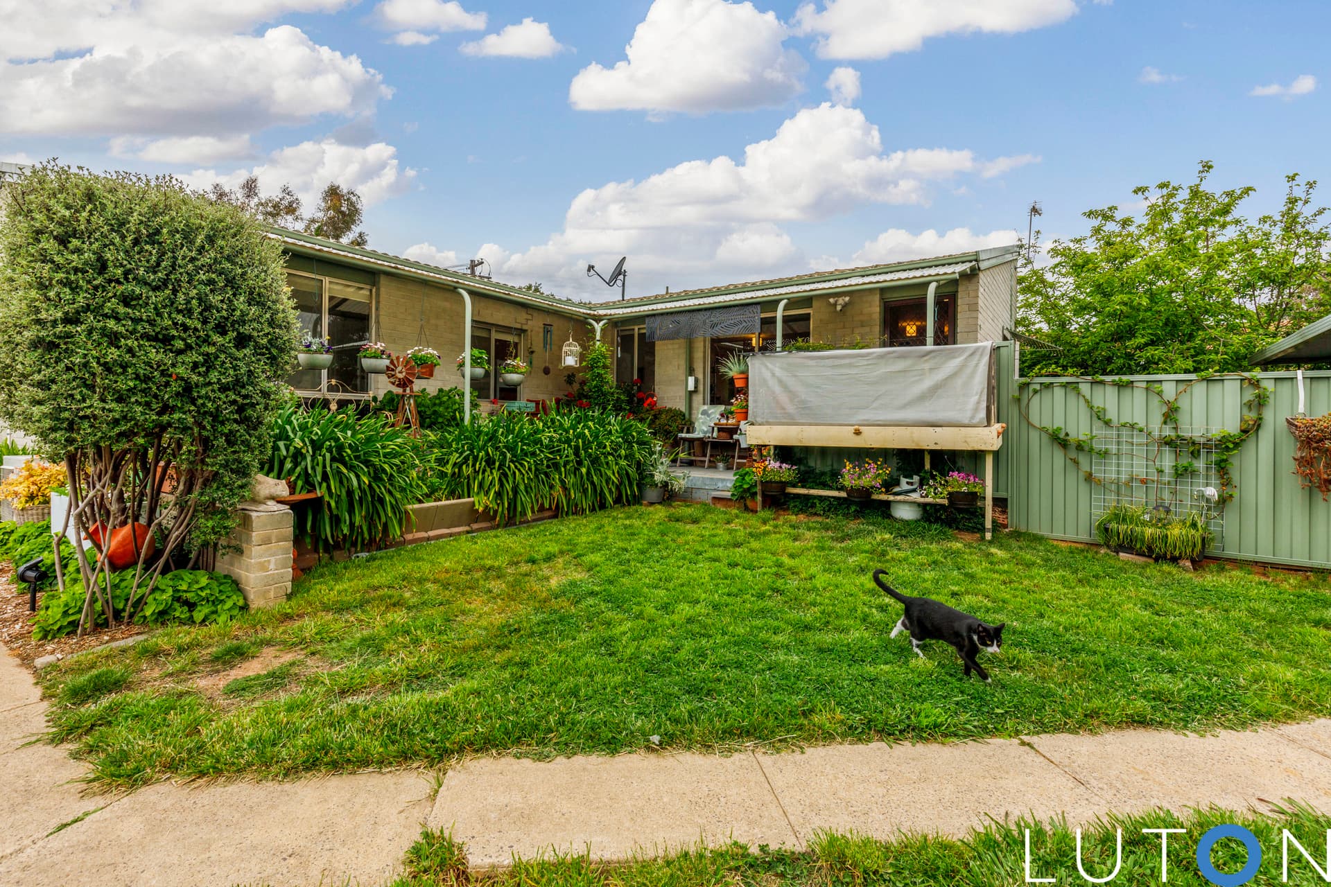 62 Carr Crescent, Wanniassa ACT 2903, Wanniassa - Thumbnail 7