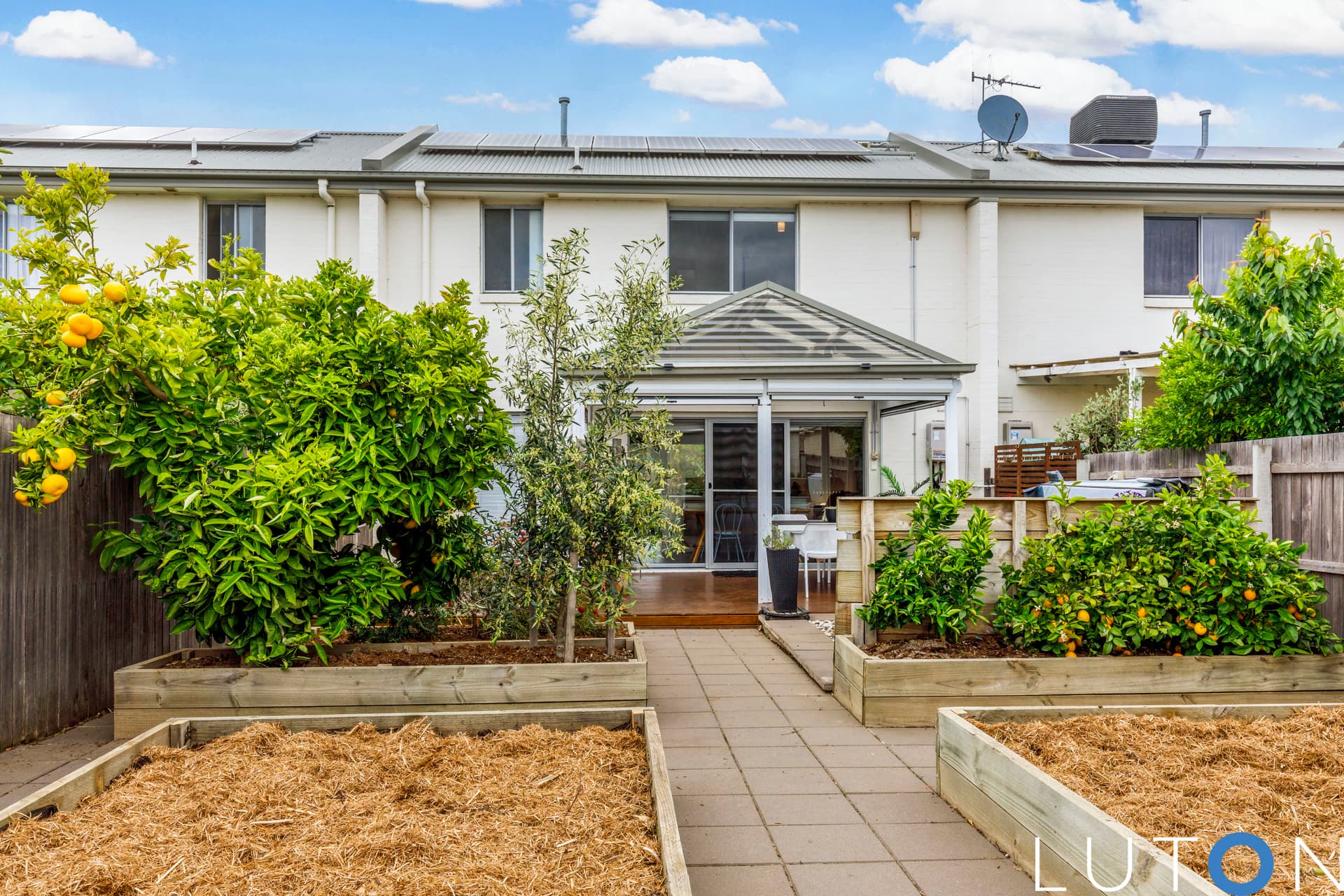 67 Donald Horne Circuit, Franklin ACT 2913, Franklin - Thumbnail 6