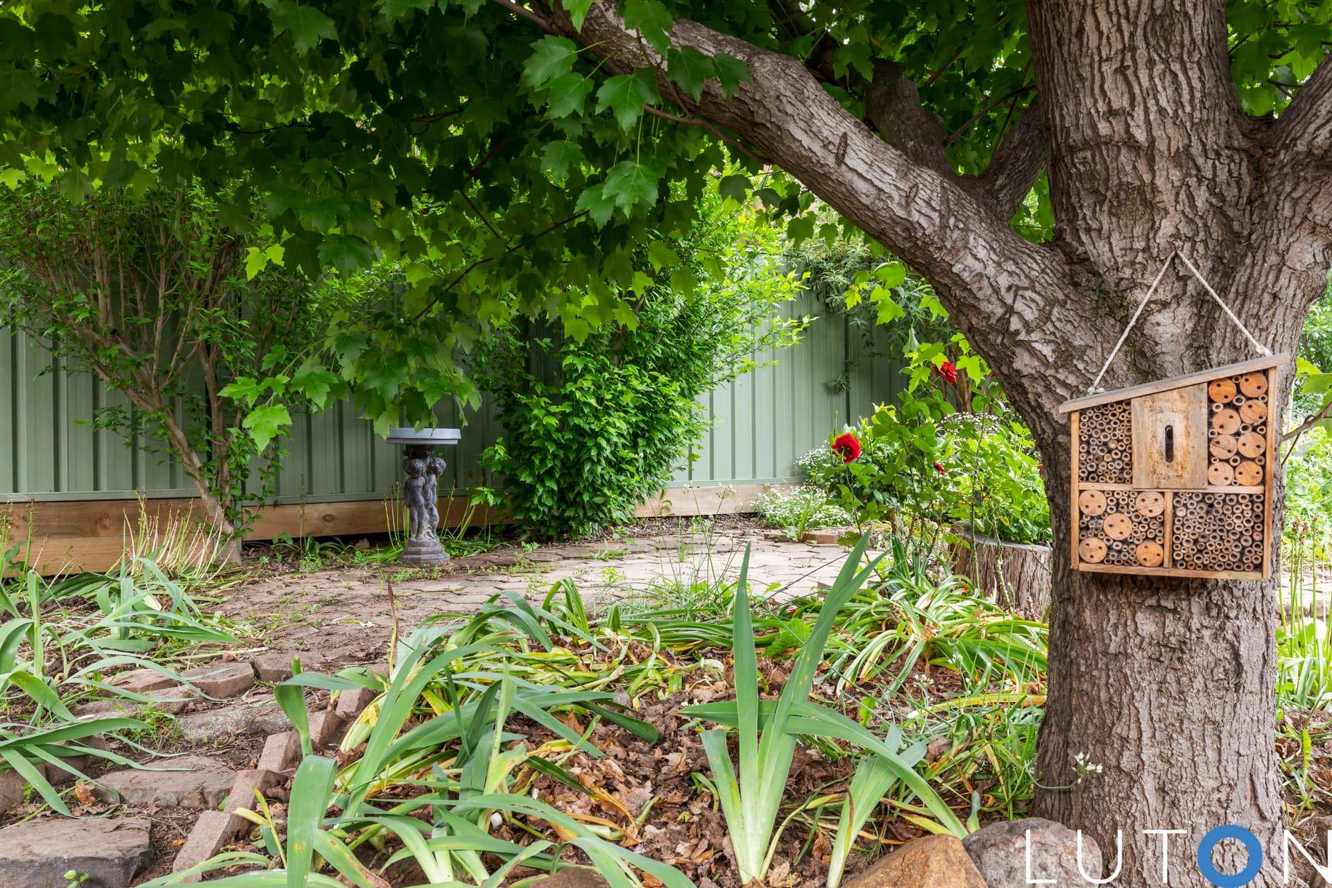 26 Verbrugghen Street, Melba ACT 2615, Melba - Thumbnail 6