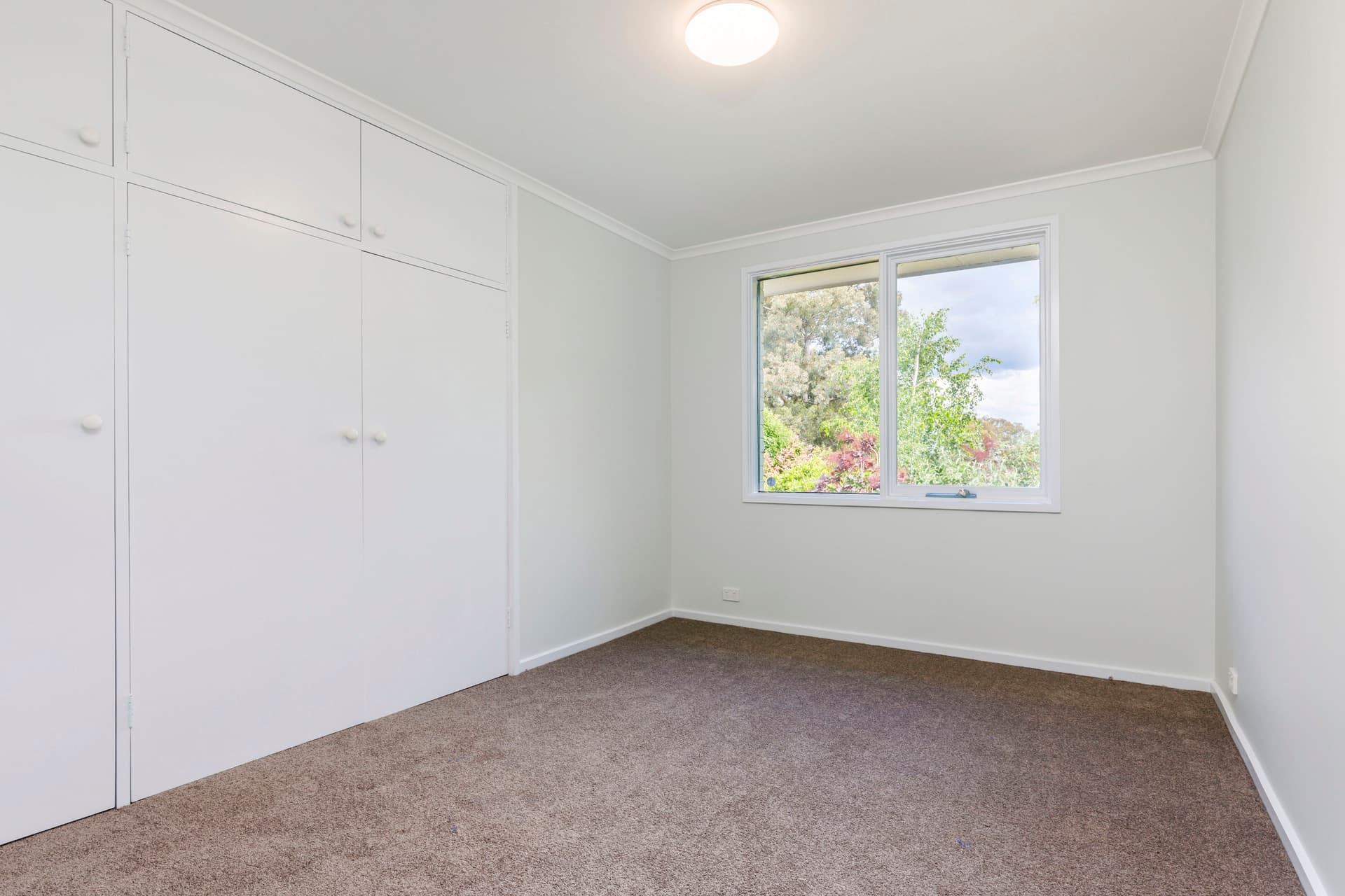 8 Orchard Place, Melba ACT 2615, Melba - Thumbnail 2