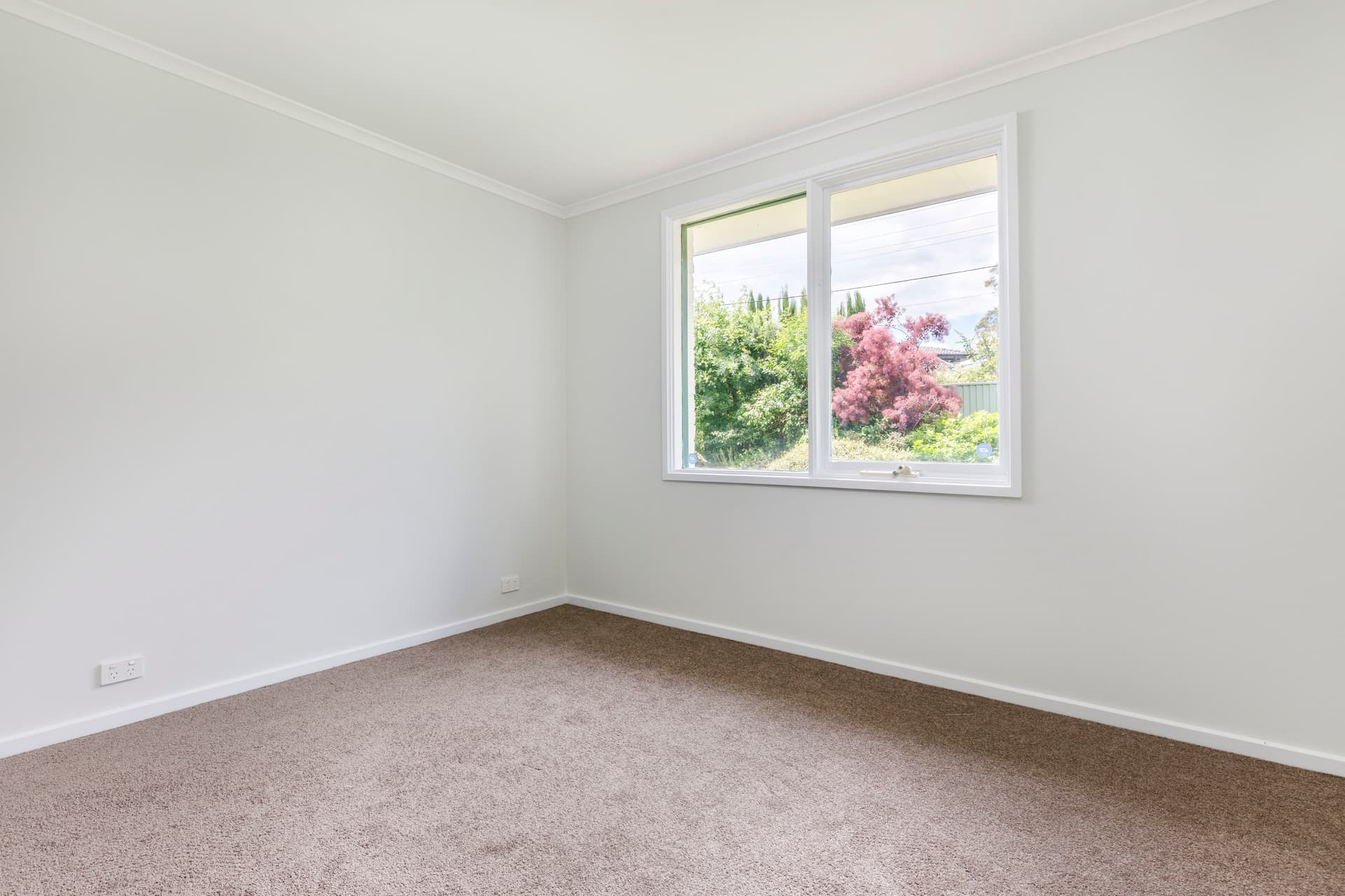 8 Orchard Place, Melba ACT 2615, Melba - Image 1