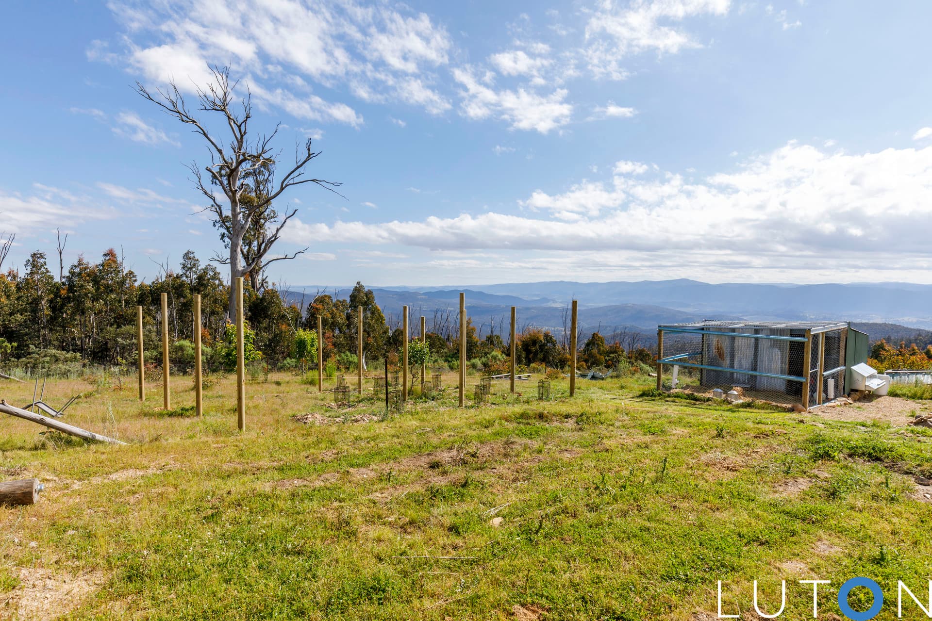 248 Calabash Road, Tinderry NSW 2620, Tinderry - Thumbnail 8