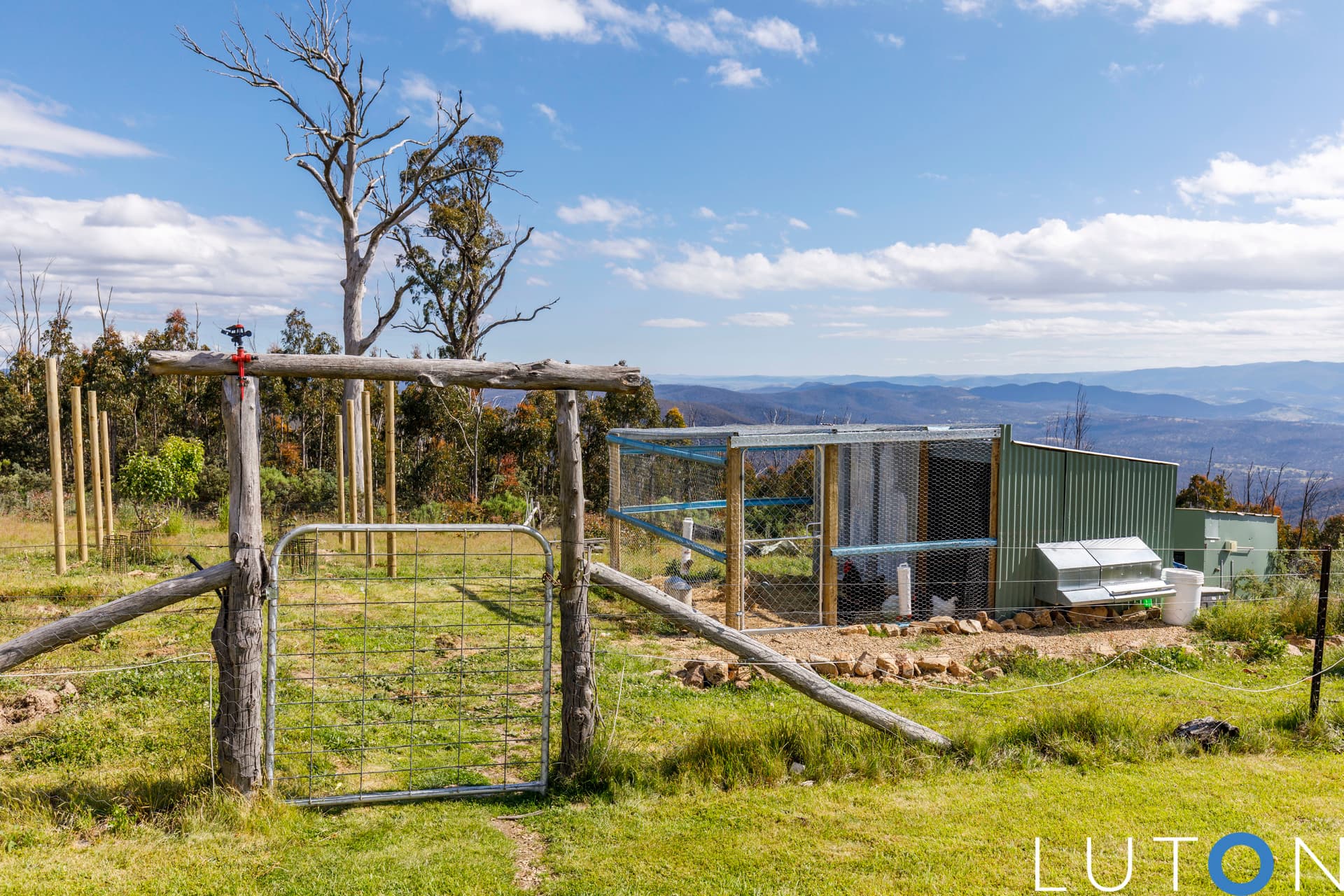 248 Calabash Road, Tinderry NSW 2620, Tinderry - Thumbnail 6