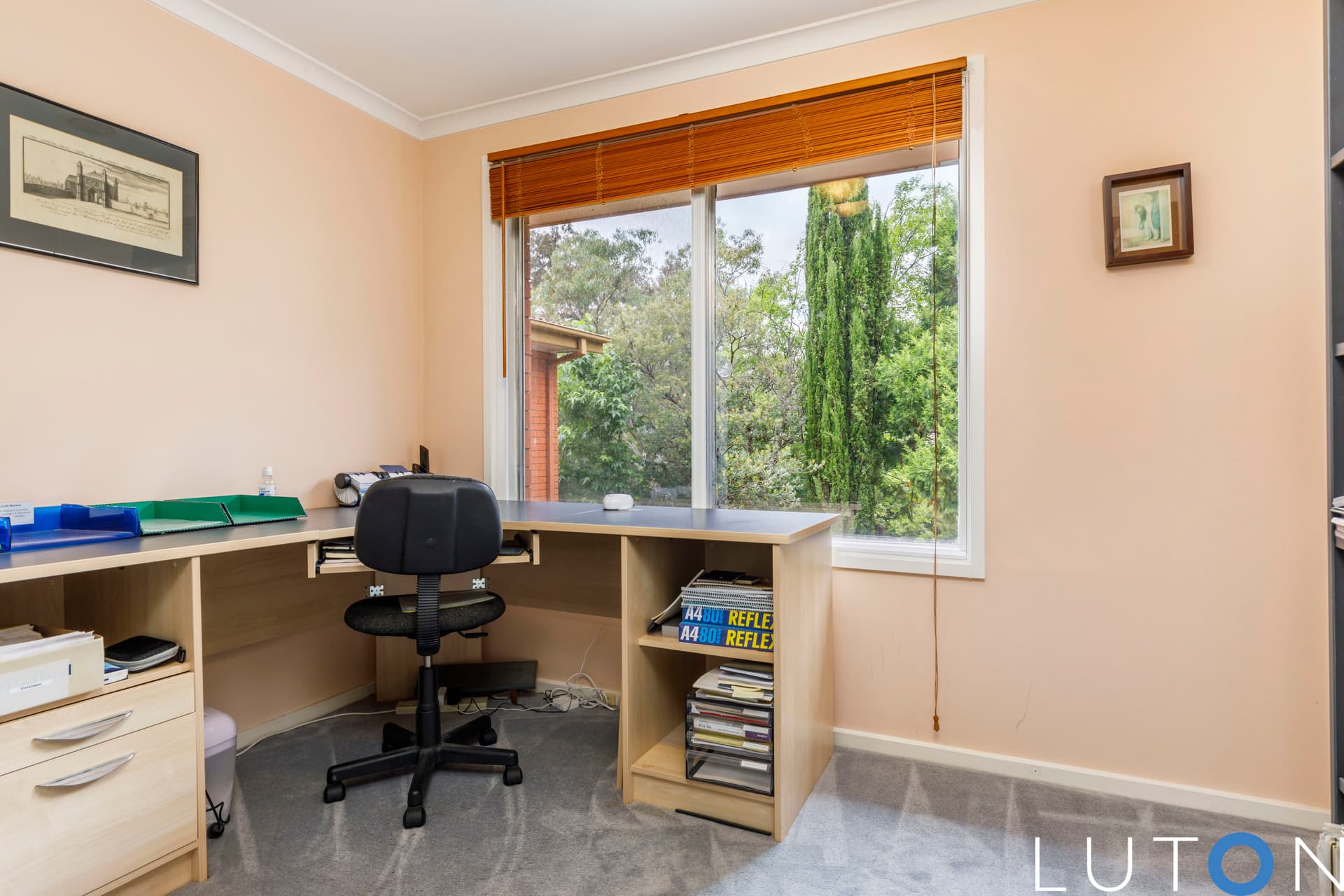 42 Hawker Street, Torrens ACT 2607, Torrens - Thumbnail 7