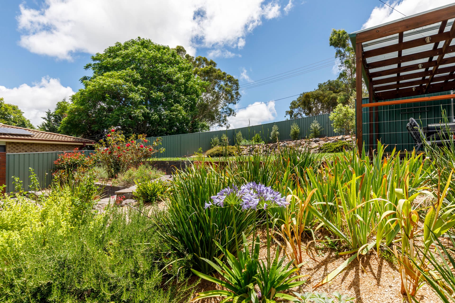 51 Louisa Lawson Crescent, Gilmore ACT 2905, Gilmore - Thumbnail 8