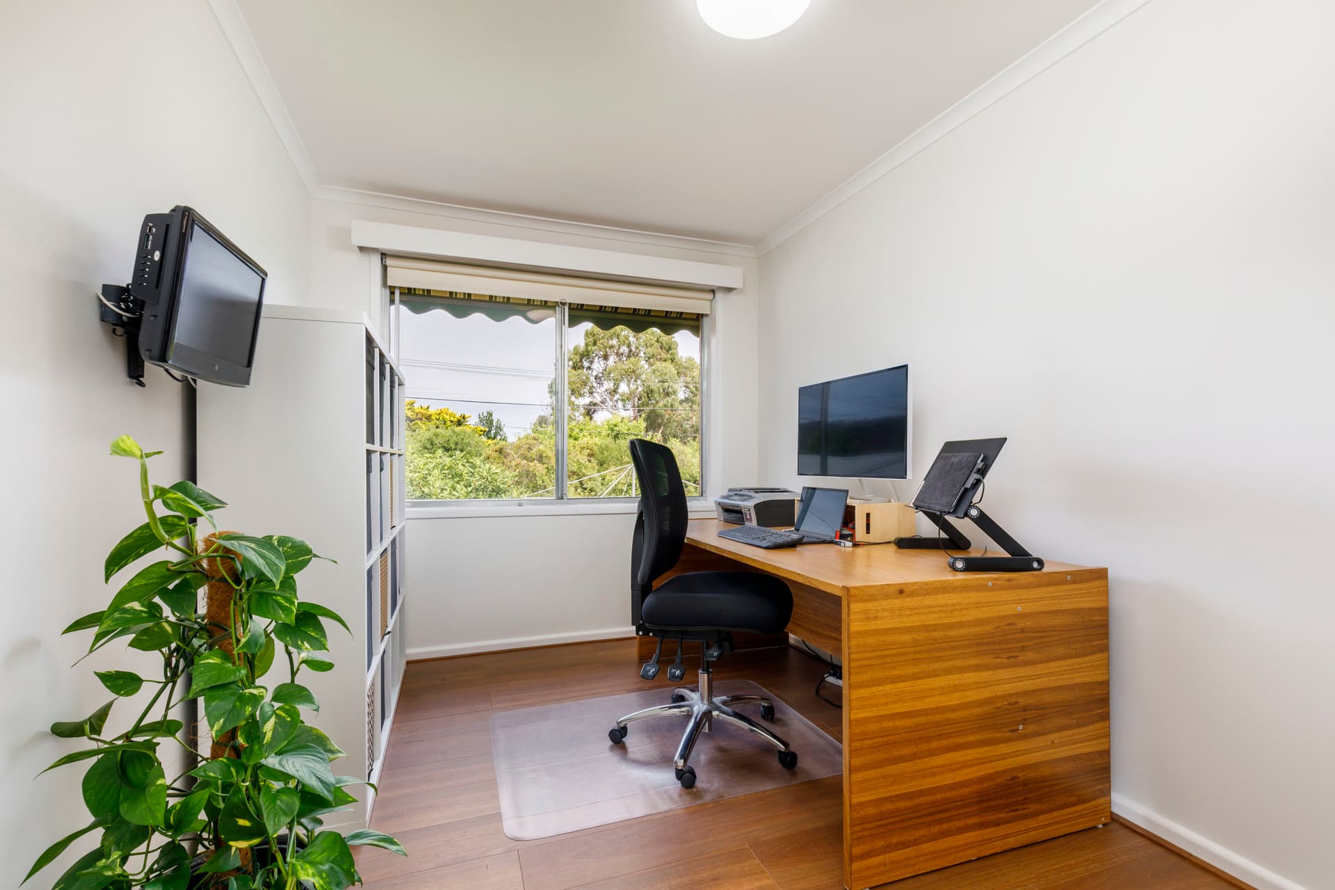 16 Aurora Close, Mawson ACT 2607, Mawson - Thumbnail 2