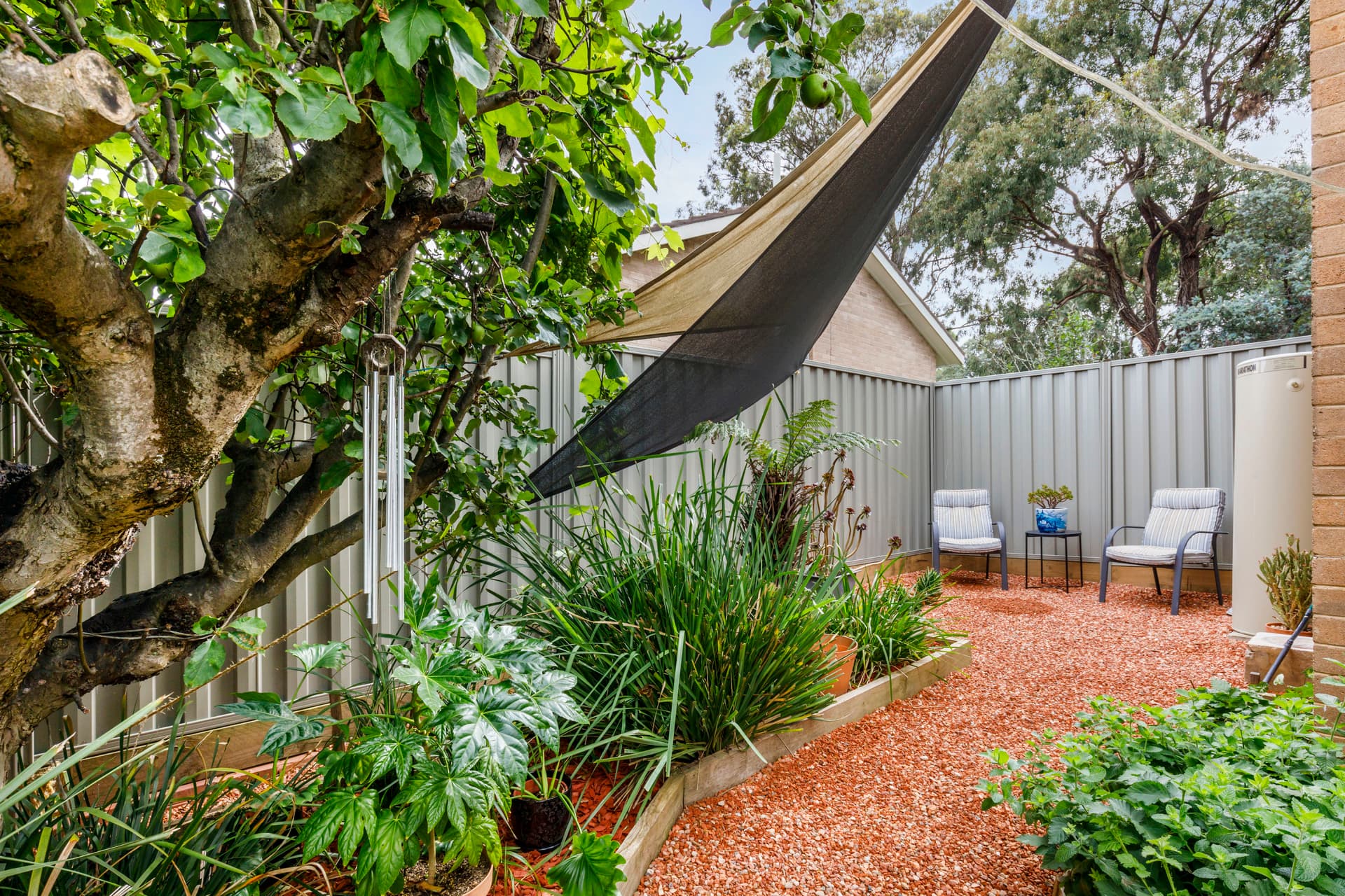 16 Aurora Close, Mawson ACT 2607, Mawson - Thumbnail 4