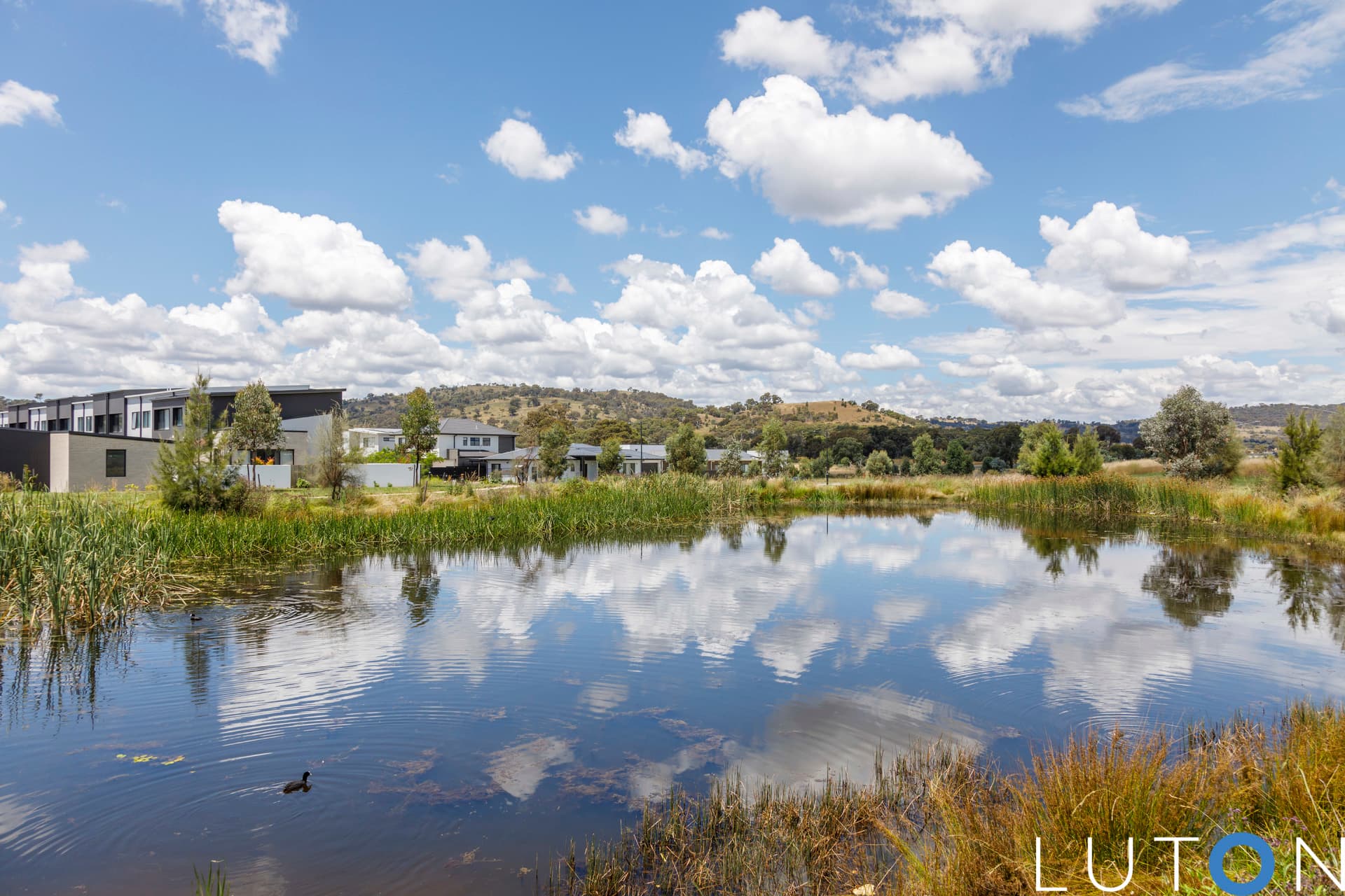 22 Pademelon Street, Throsby ACT 2914, Throsby - Thumbnail 5