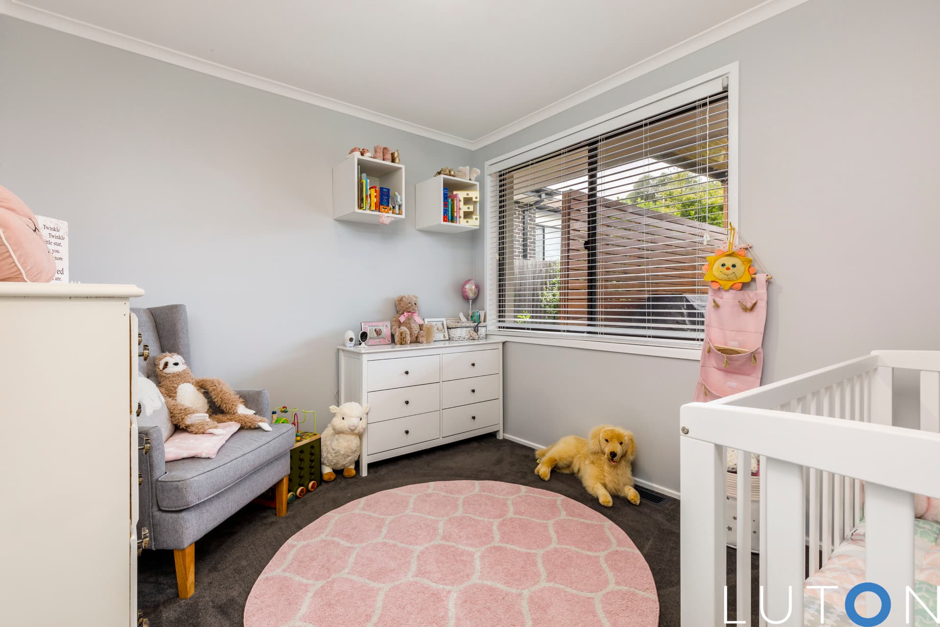 16 Lansell Circuit, Wanniassa ACT 2903, Wanniassa - Thumbnail 2