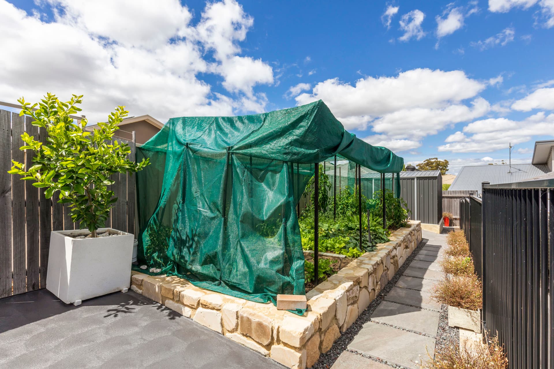 65 Ida West Street, Bonner ACT 2914, Bonner - Thumbnail 7