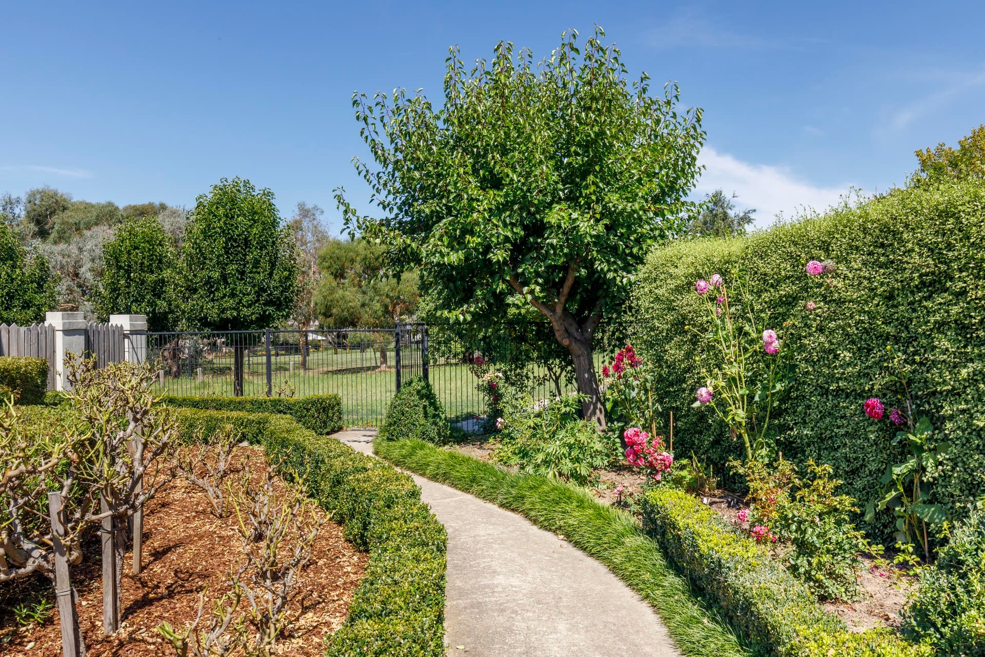 4/25 Temperley Street, Nicholls ACT 2913, Nicholls - Thumbnail 6