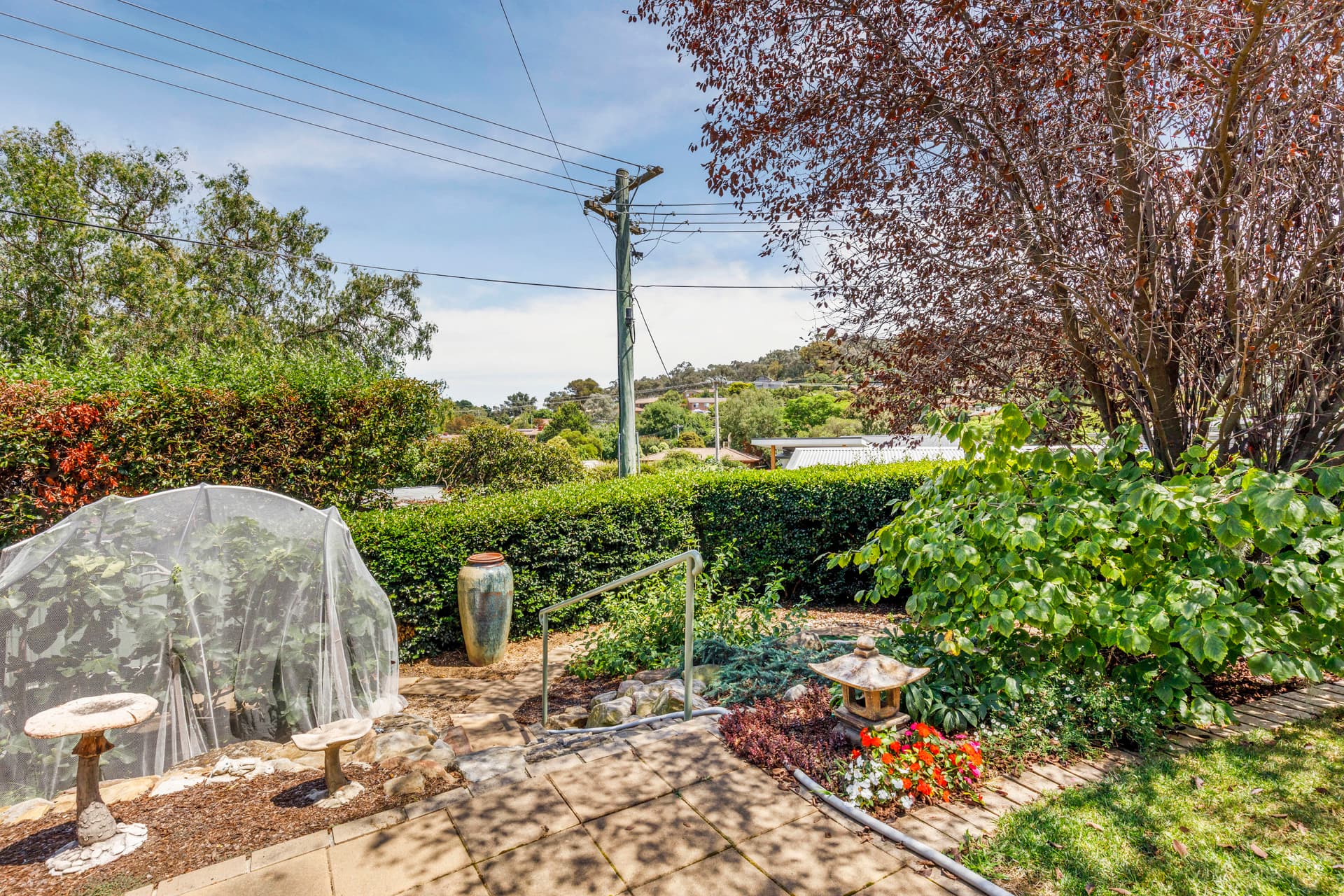 3 Schinckel Place, Macarthur ACT 2904, Macarthur - Thumbnail 8