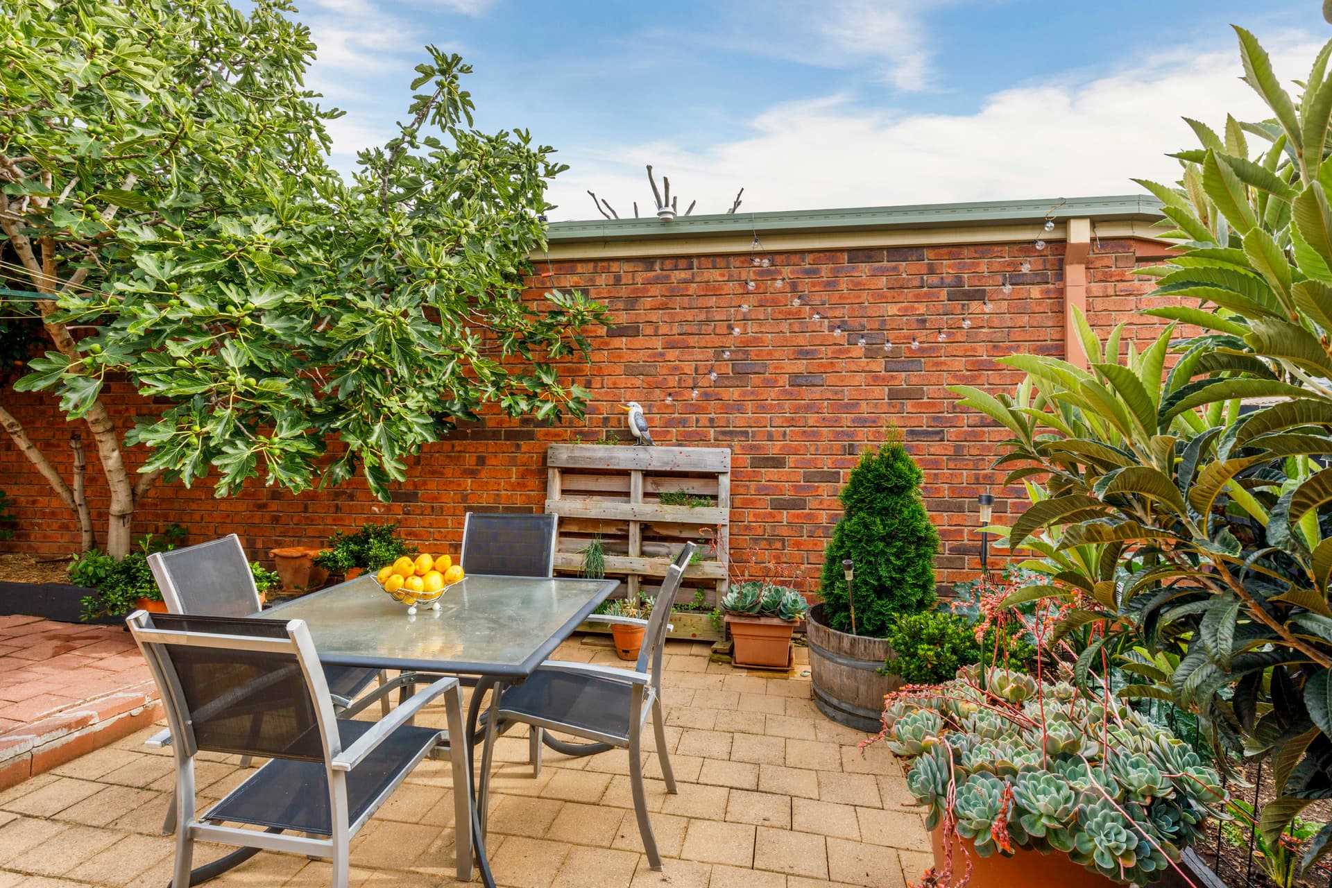 3 Barunga Street, Ngunnawal ACT 2913, Ngunnawal - Thumbnail 6