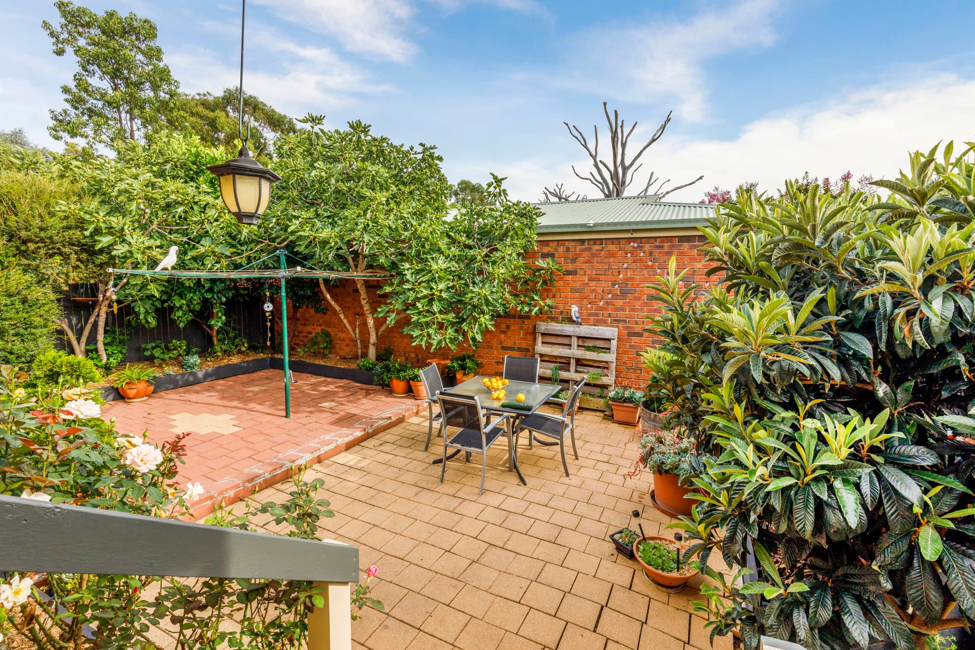 3 Barunga Street, Ngunnawal ACT 2913, Ngunnawal - Thumbnail 7