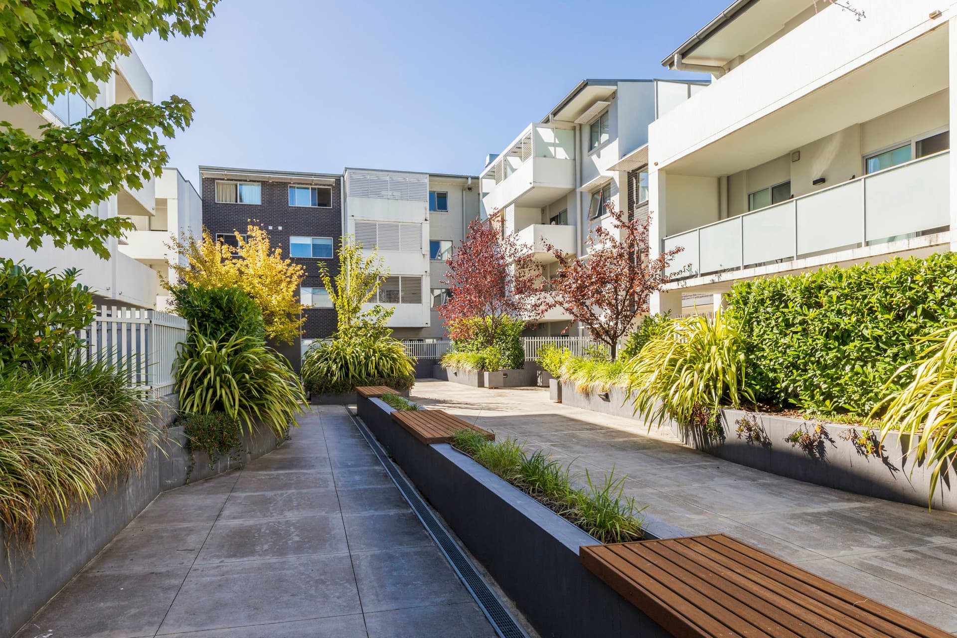 176/142 Anketell Street, Greenway ACT 2900, Greenway - Thumbnail 3