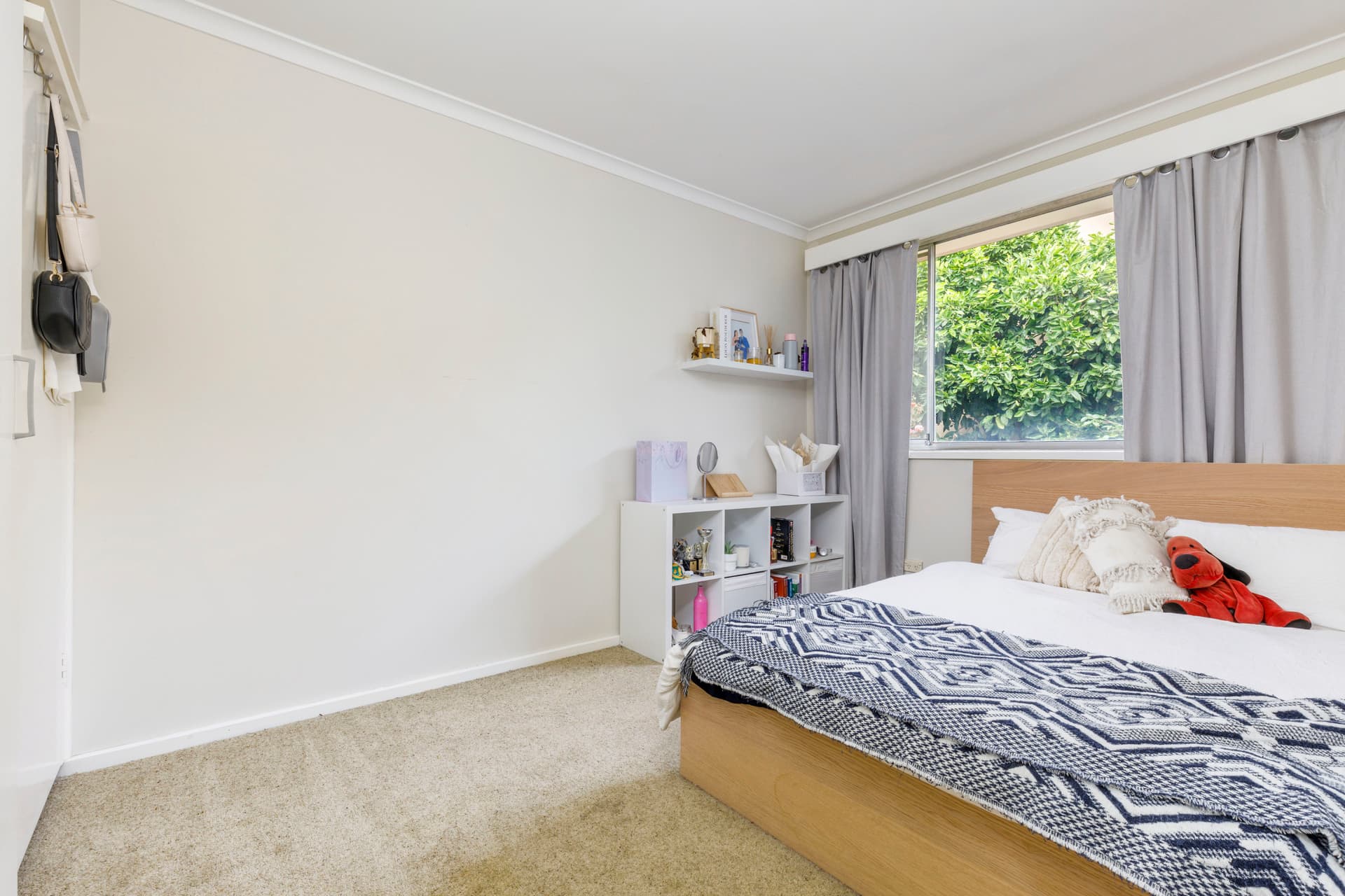 2 Crace Street, Weetangera ACT 2614, Weetangera - Thumbnail 3