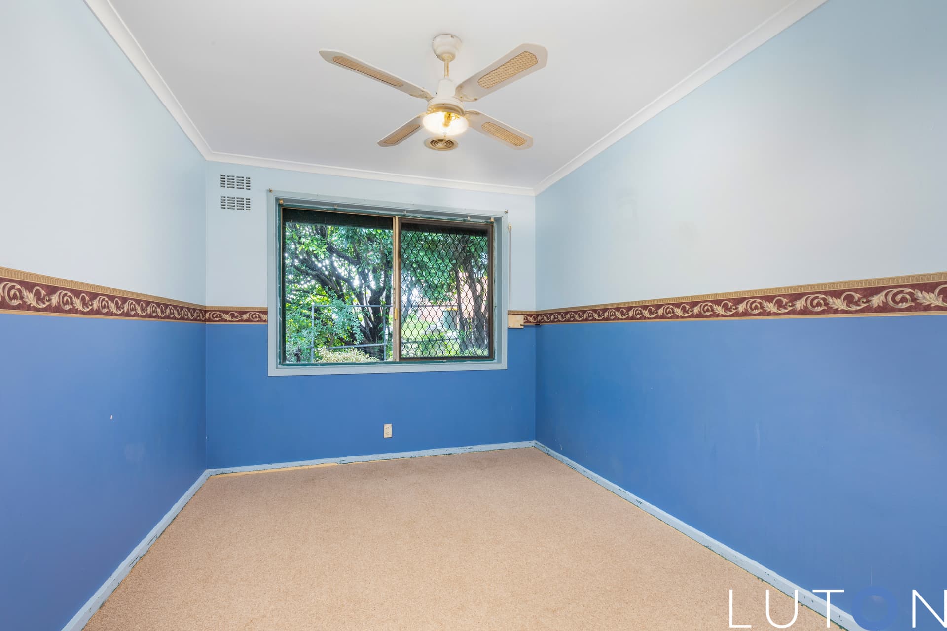 19 Bernacchi Street, Mawson ACT 2607, Mawson - Image 1