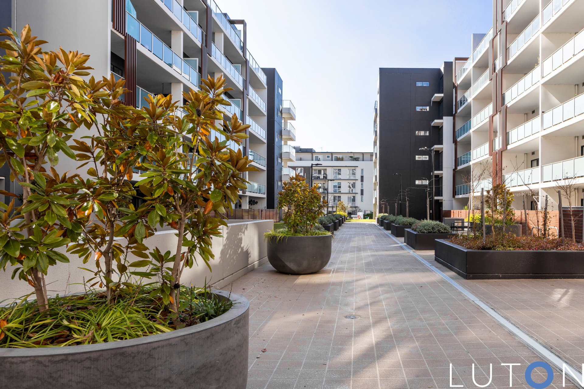 55/311 Anketell Street, Greenway ACT 2900, Greenway - Thumbnail 5