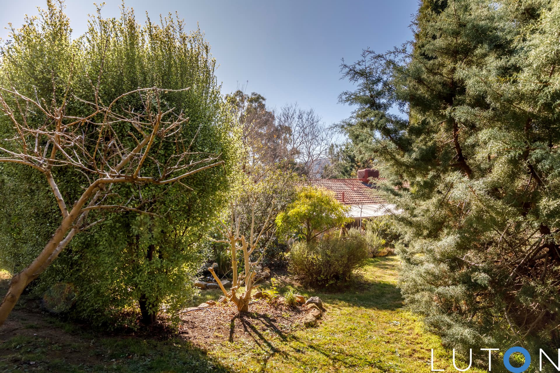 5 Lomman Place, Kambah ACT 2902, Kambah - Thumbnail 7