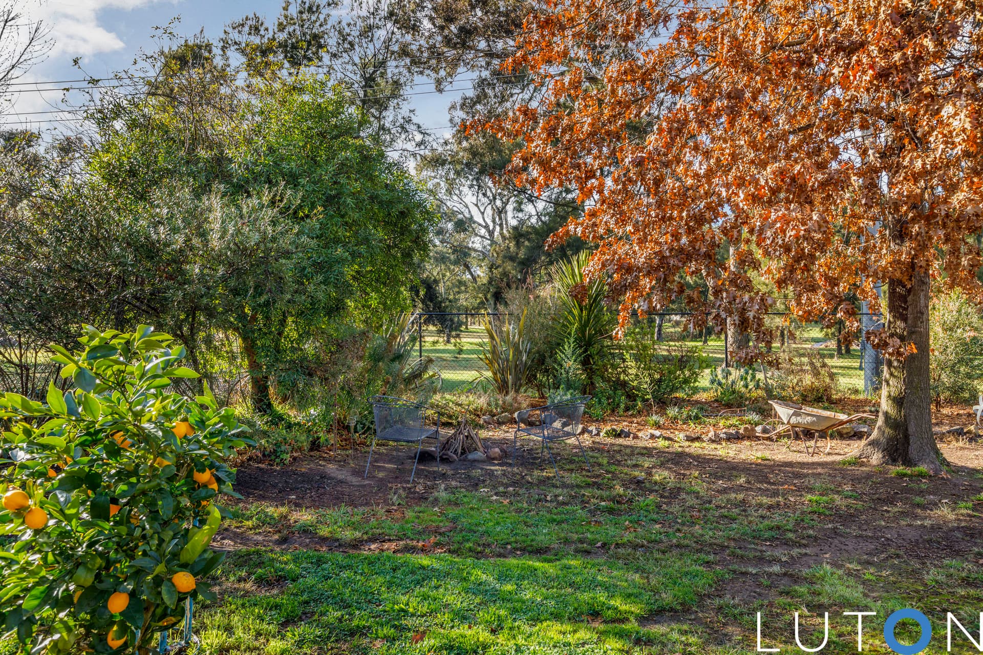 12 Max Henry Crescent, Macarthur ACT 2904, Macarthur - Thumbnail 4