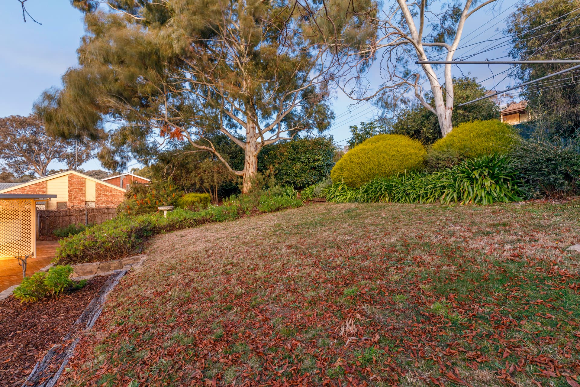 10 Wynn Place, Fraser ACT 2615, Fraser - Thumbnail 7