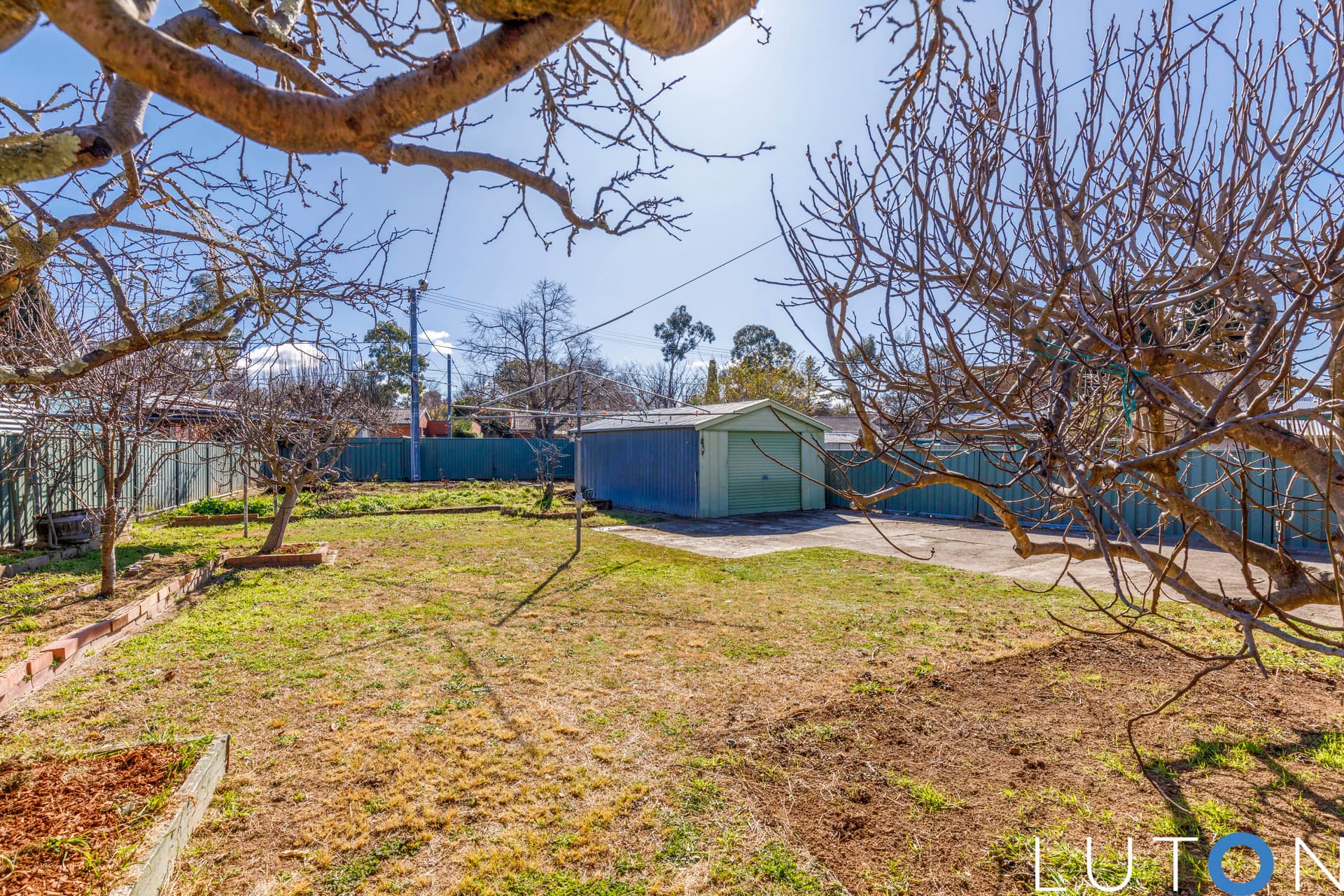 126 Goyder Street, Narrabundah ACT 2604, Narrabundah - Thumbnail 6