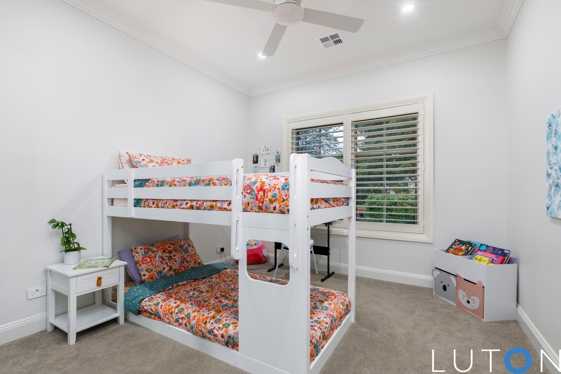 43 Euree Street, Reid ACT 2612, Reid - Thumbnail 4