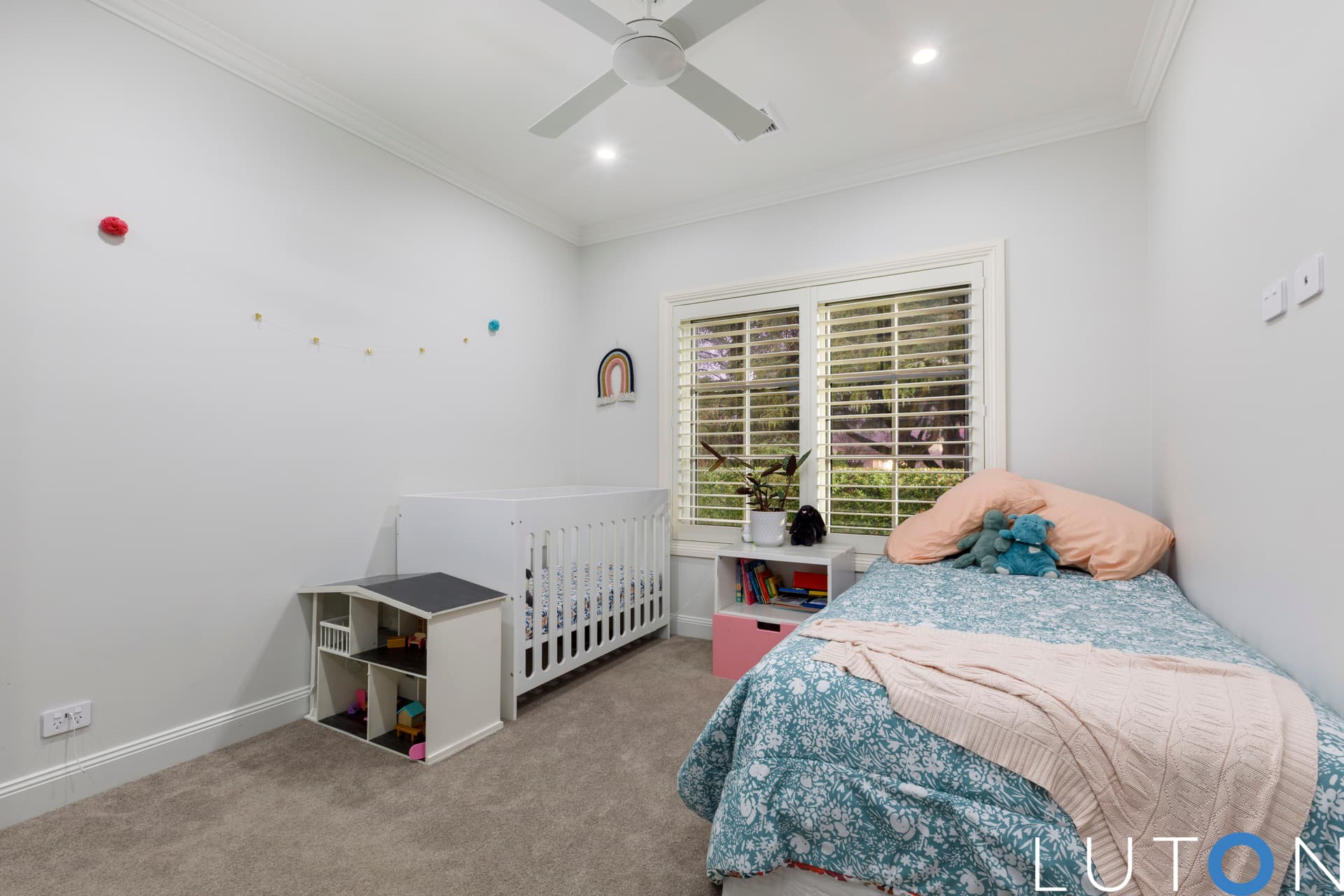 43 Euree Street, Reid ACT 2612, Reid - Thumbnail 5