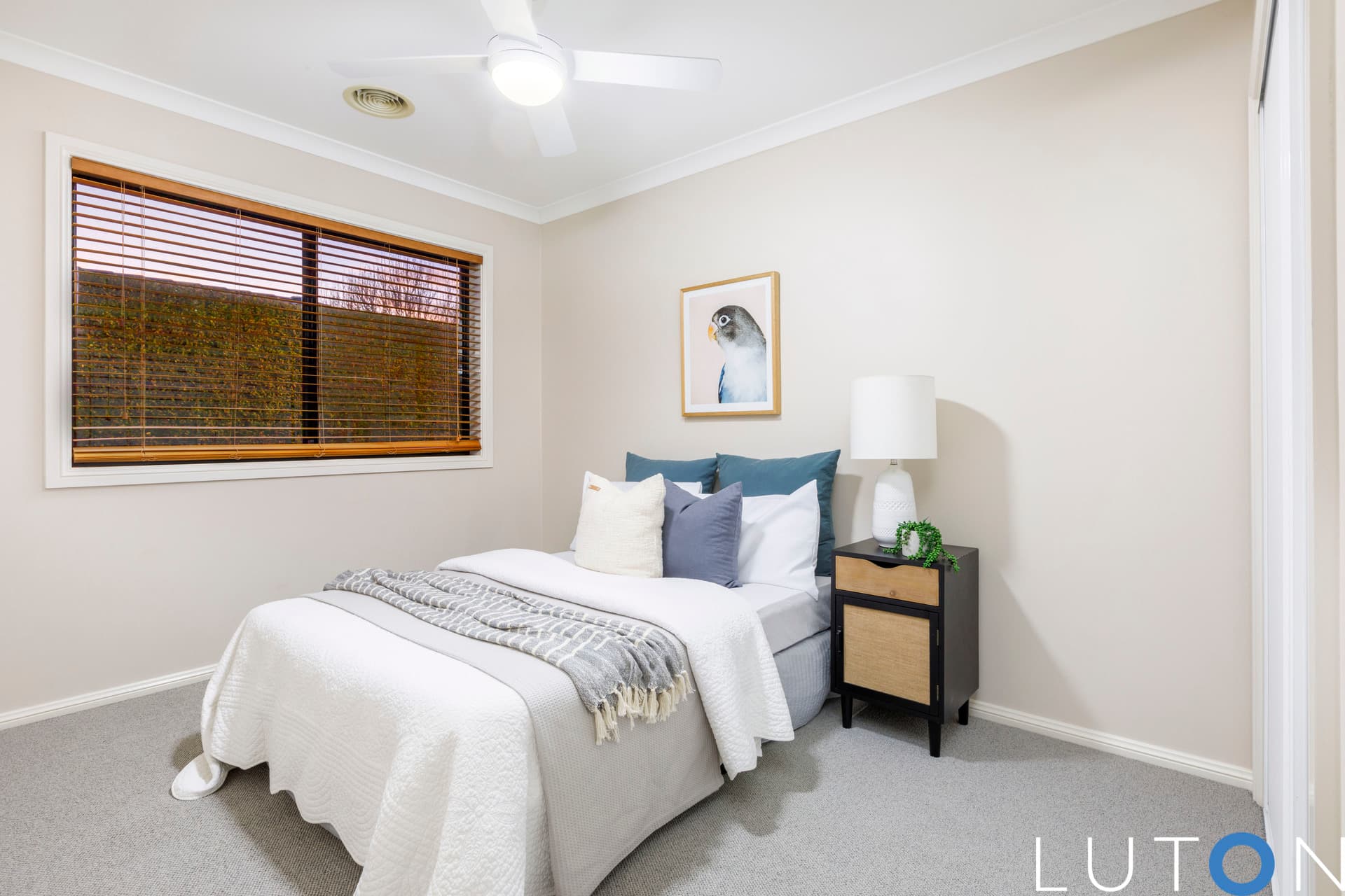 16 Tsoulias Street, Gungahlin ACT 2912, Gungahlin - Thumbnail 2